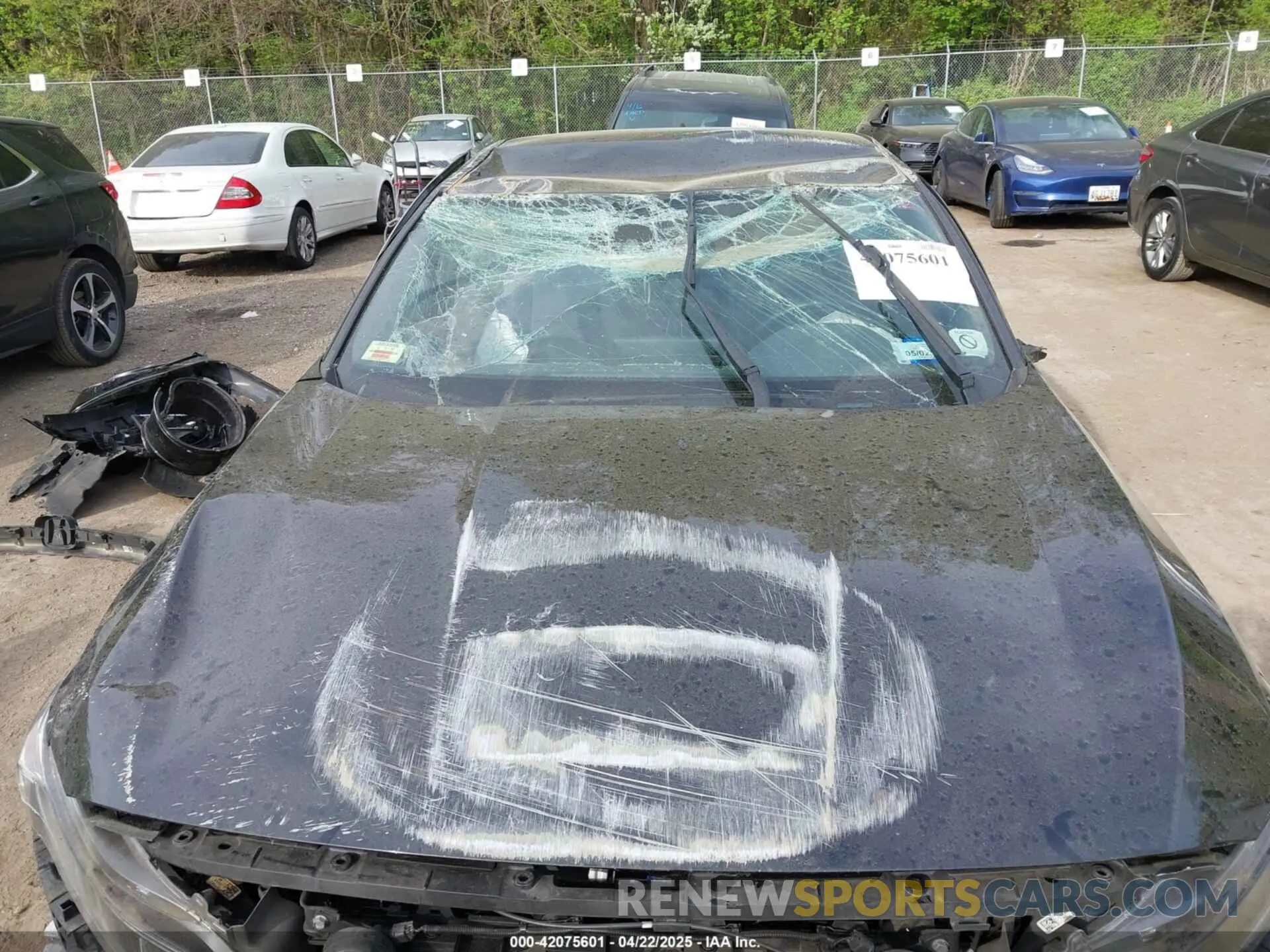 6 Photograph of a damaged car 1HGCV1F35KA115665 HONDA ACCORD 2019