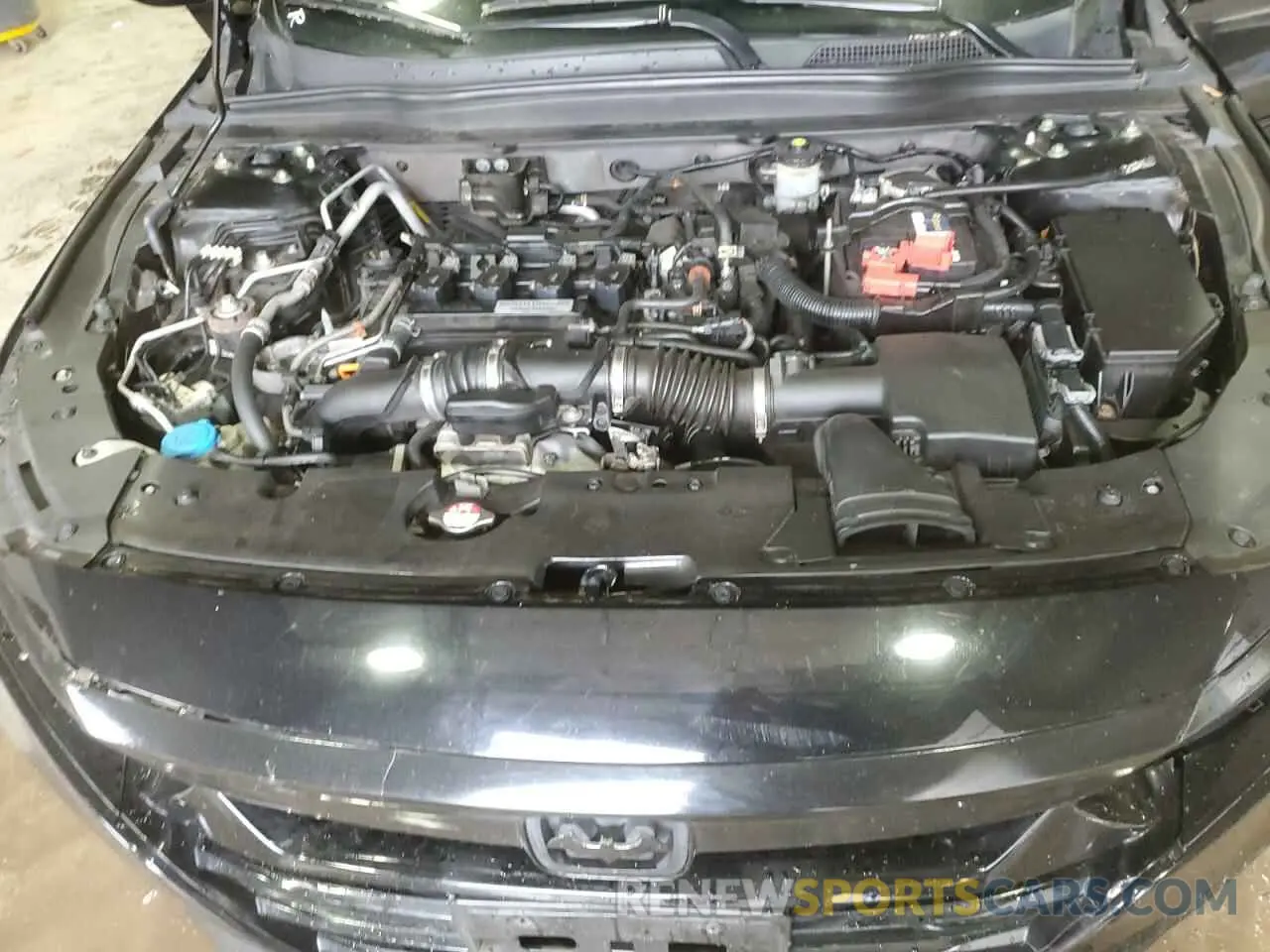 11 Photograph of a damaged car 1HGCV1F37KA031086 HONDA ACCORD 2019