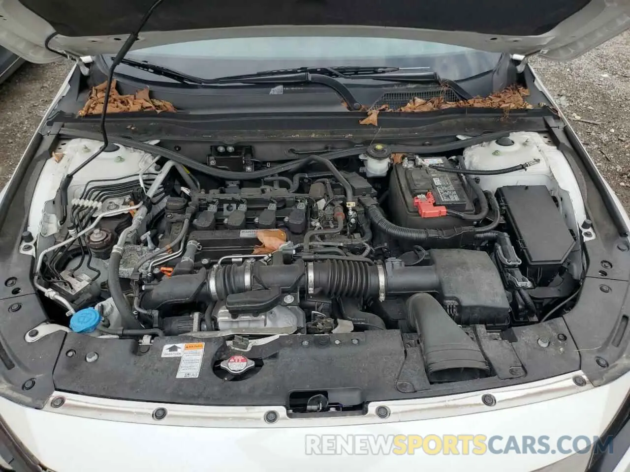 11 Photograph of a damaged car 1HGCV1F37KA162034 HONDA ACCORD 2019