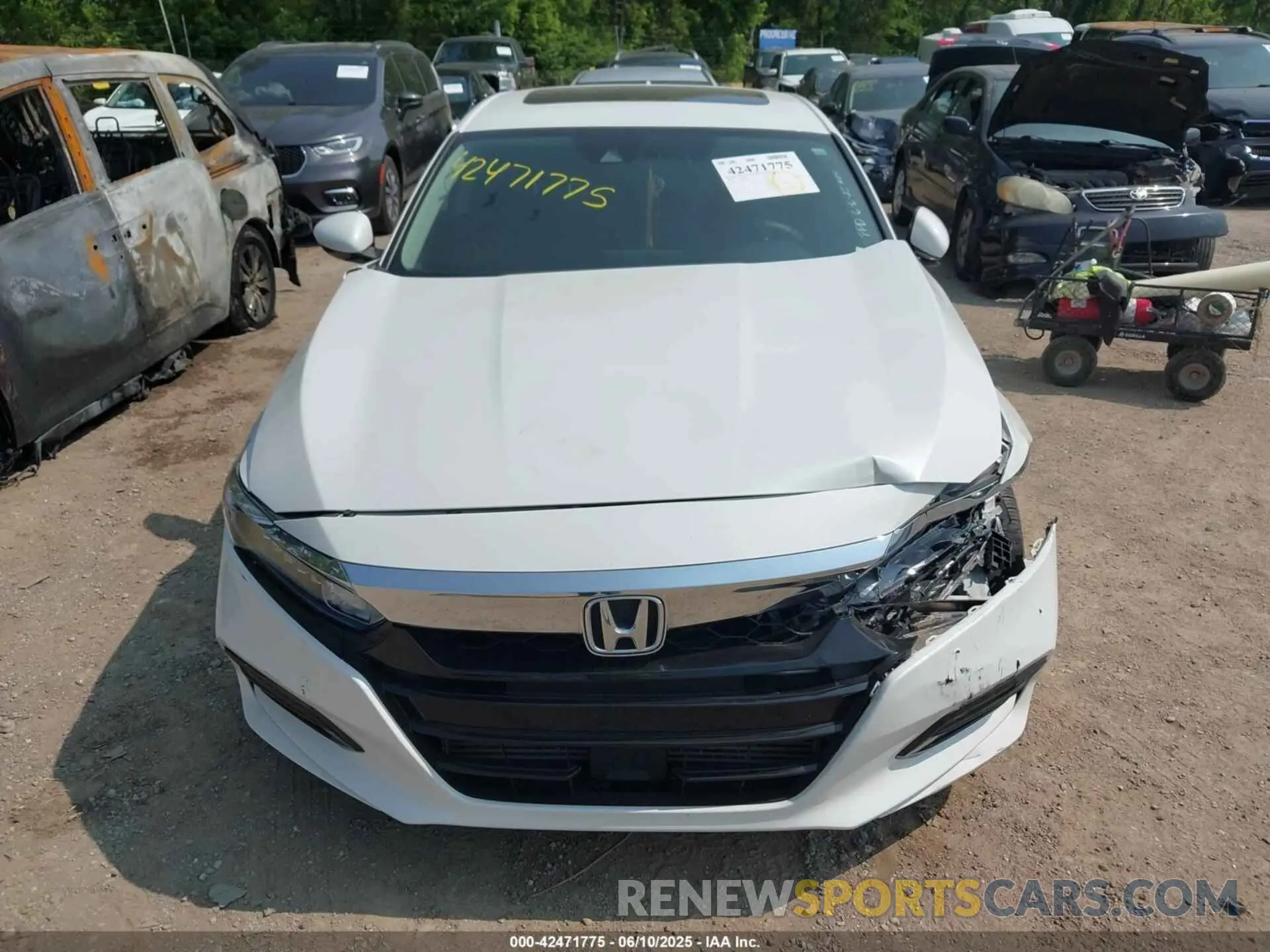 12 Photograph of a damaged car 1HGCV1F48KA162147 HONDA ACCORD 2019