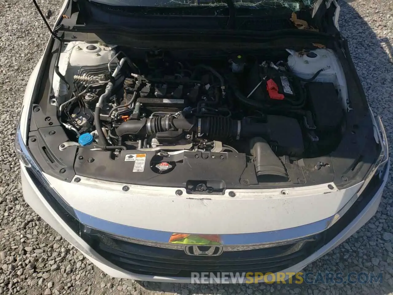 11 Photograph of a damaged car 1HGCV1F58KA147124 HONDA ACCORD 2019