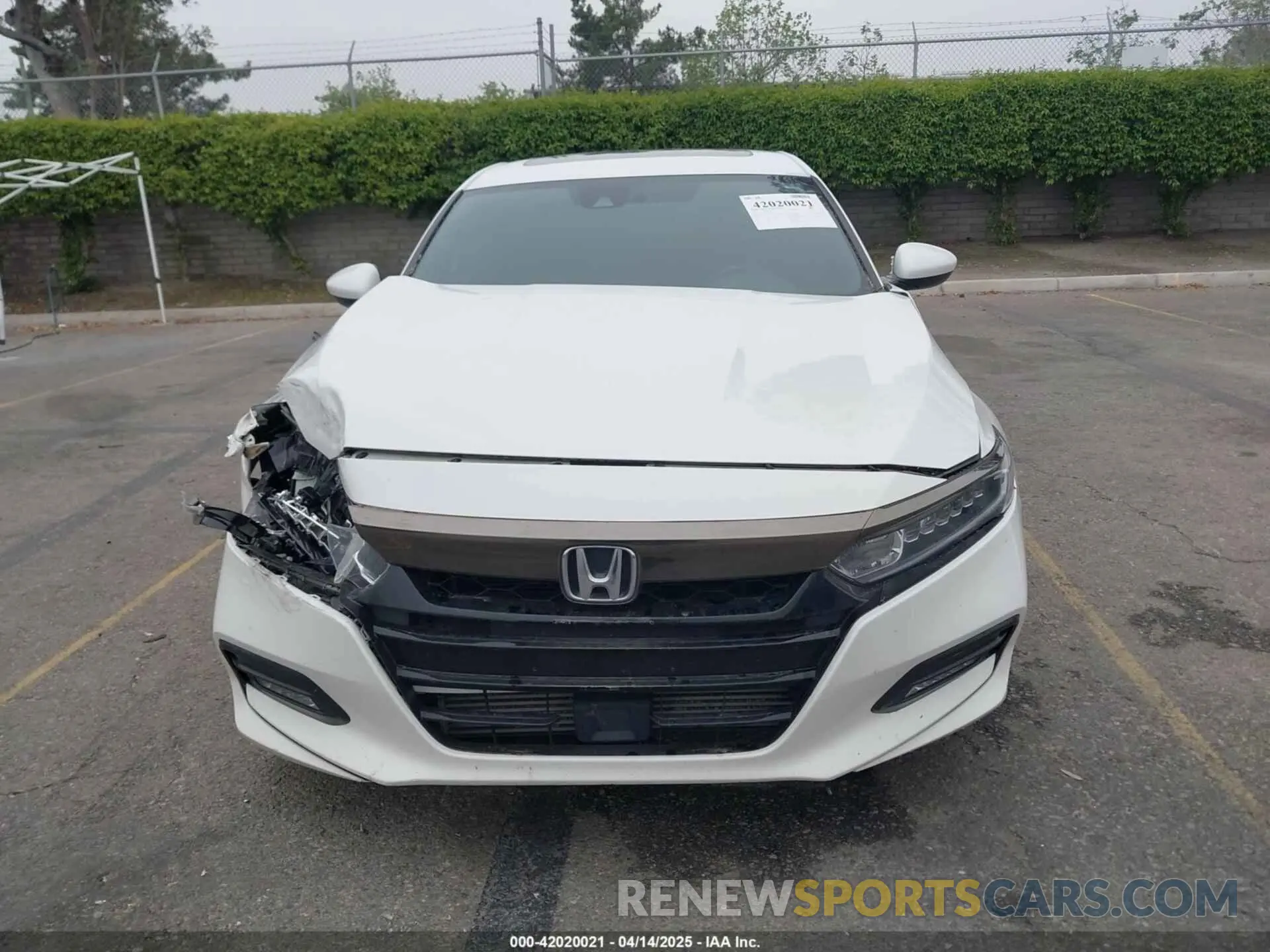 11 Photograph of a damaged car 1HGCV2F31KA015178 HONDA ACCORD 2019