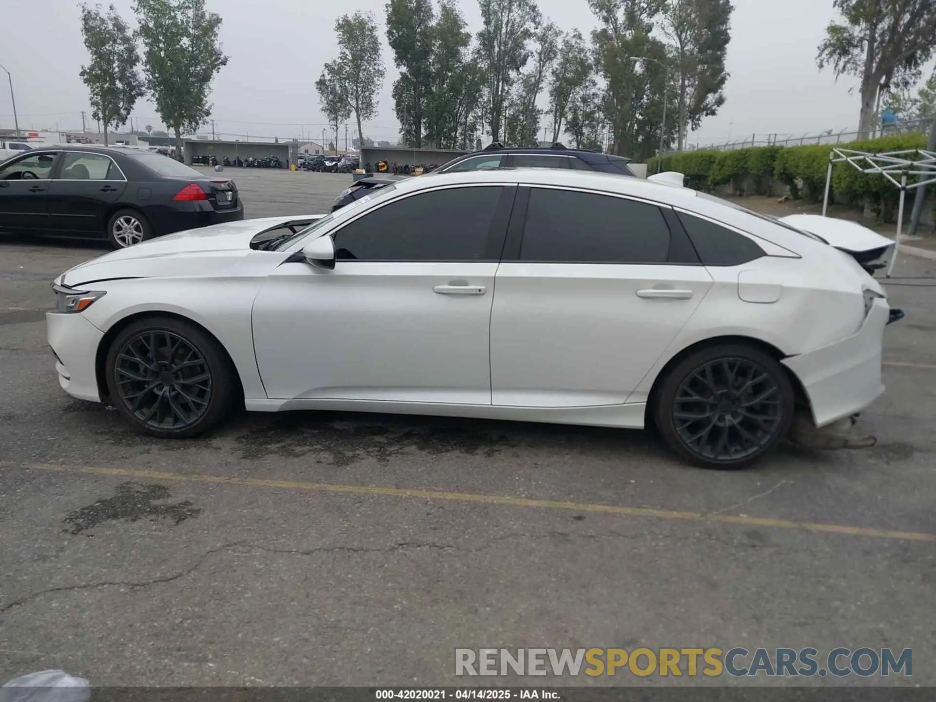 13 Photograph of a damaged car 1HGCV2F31KA015178 HONDA ACCORD 2019