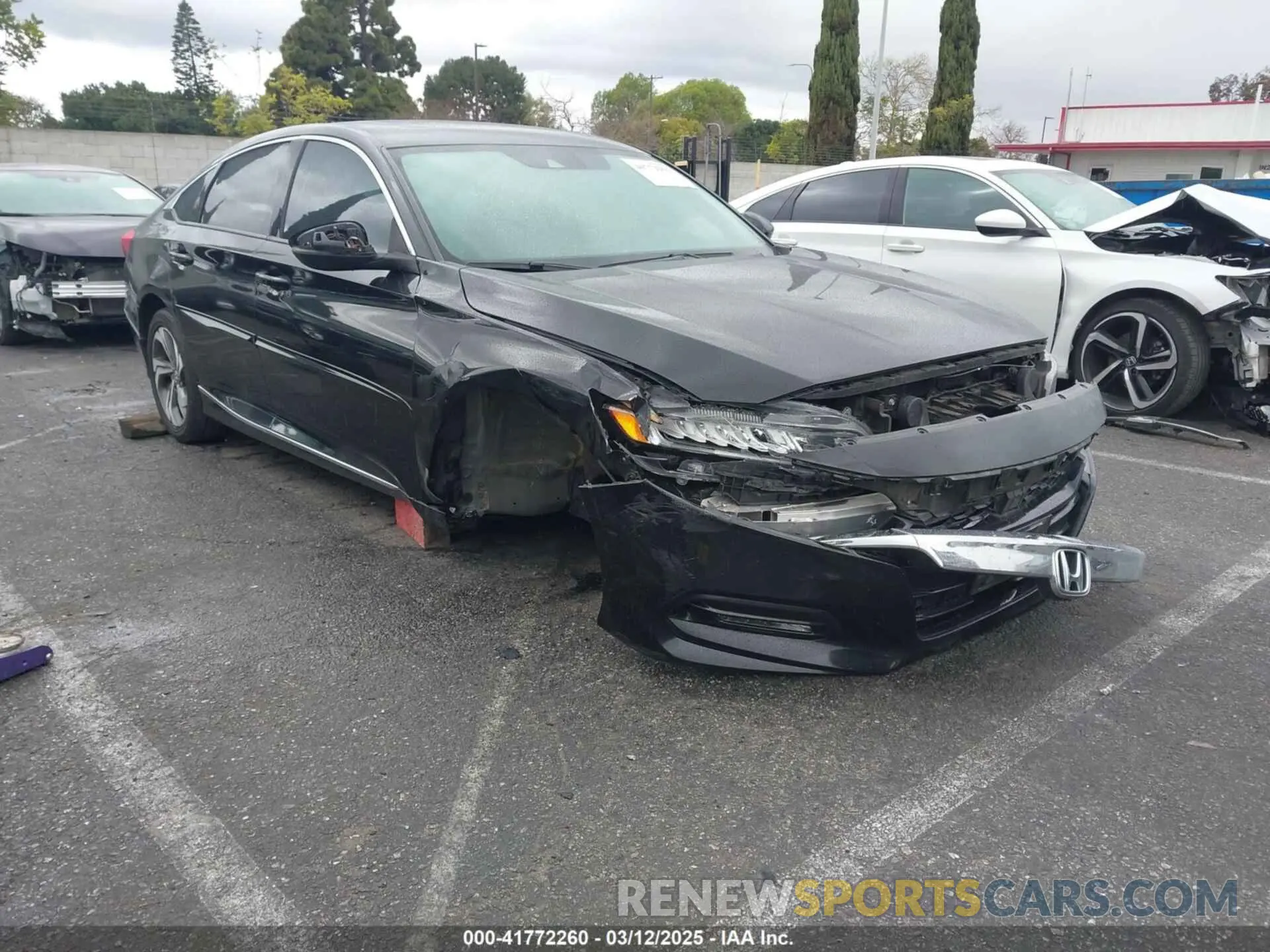 1 Photograph of a damaged car 1HGCV2F53KA023512 HONDA ACCORD 2019