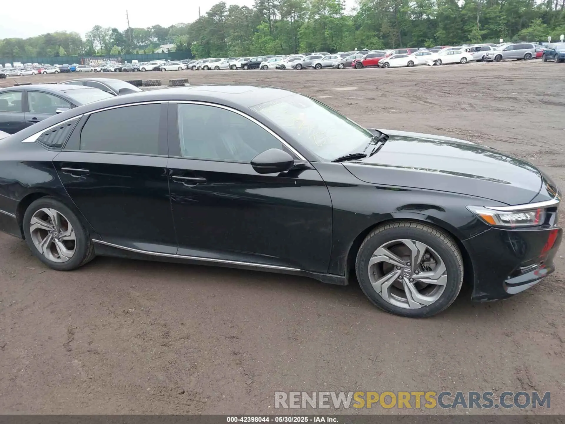 13 Photograph of a damaged car 1HGCV2F56KA012066 HONDA ACCORD 2019