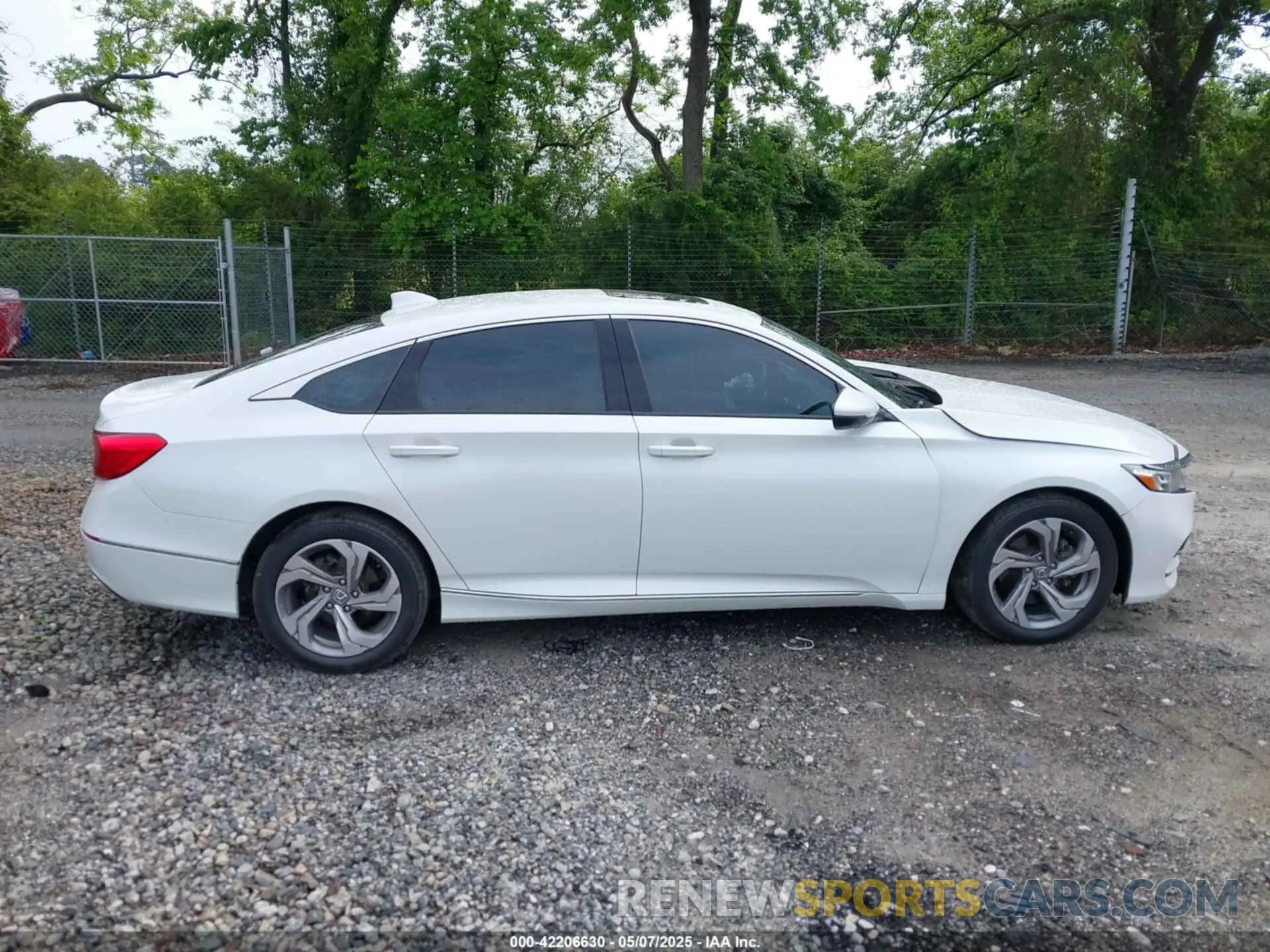 13 Photograph of a damaged car 1HGCV2F59KA007282 HONDA ACCORD 2019
