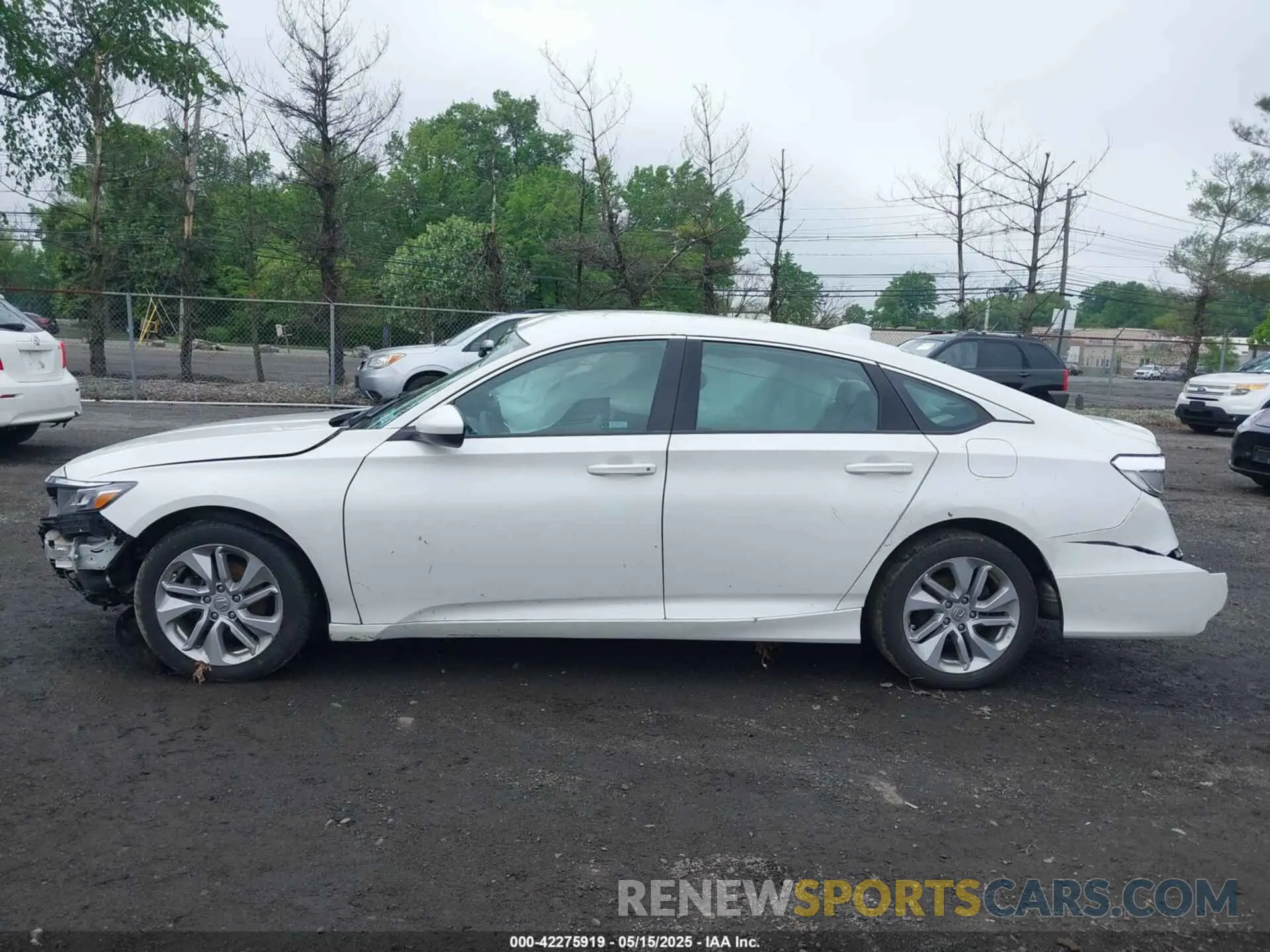 14 Photograph of a damaged car 1HGCV1F13LA021753 HONDA ACCORD 2020