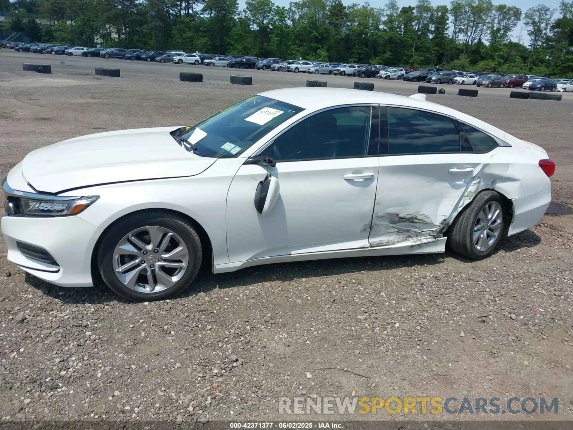 14 Photograph of a damaged car 1HGCV1F14LA132618 HONDA ACCORD 2020