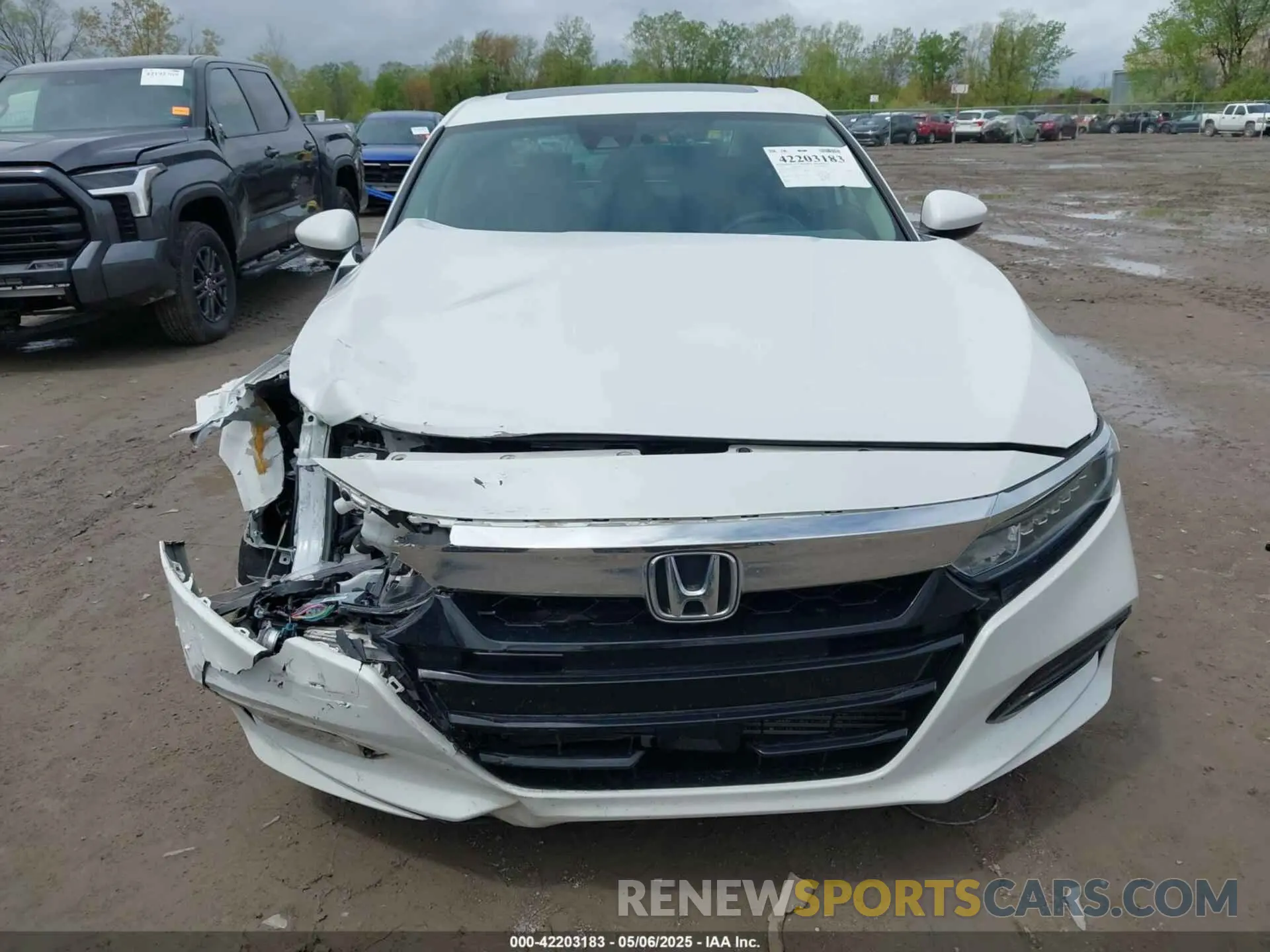 12 Photograph of a damaged car 1HGCV1F49LA146122 HONDA ACCORD 2020