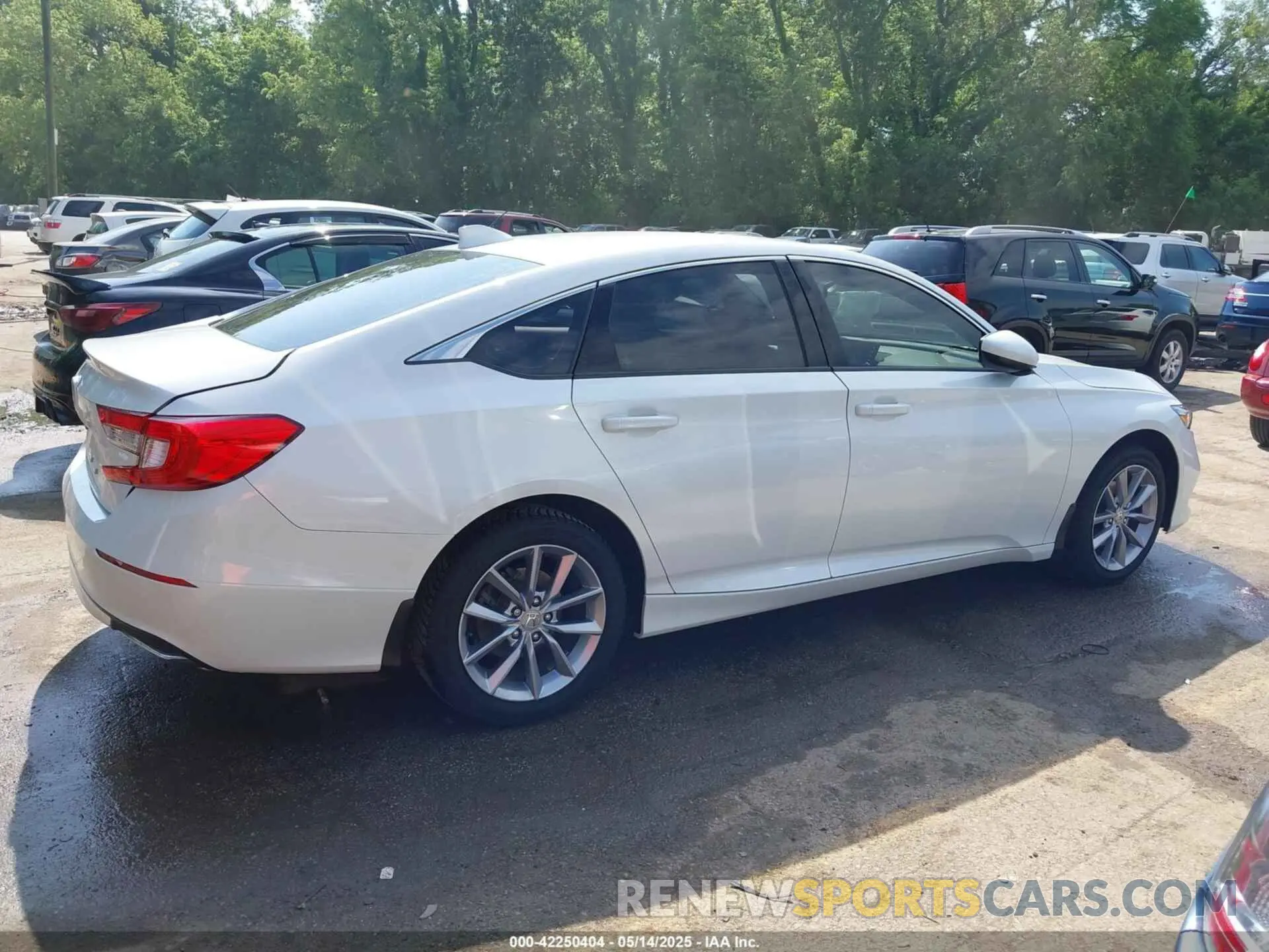 12 Photograph of a damaged car 1HGCV1F17MA002754 HONDA ACCORD 2021
