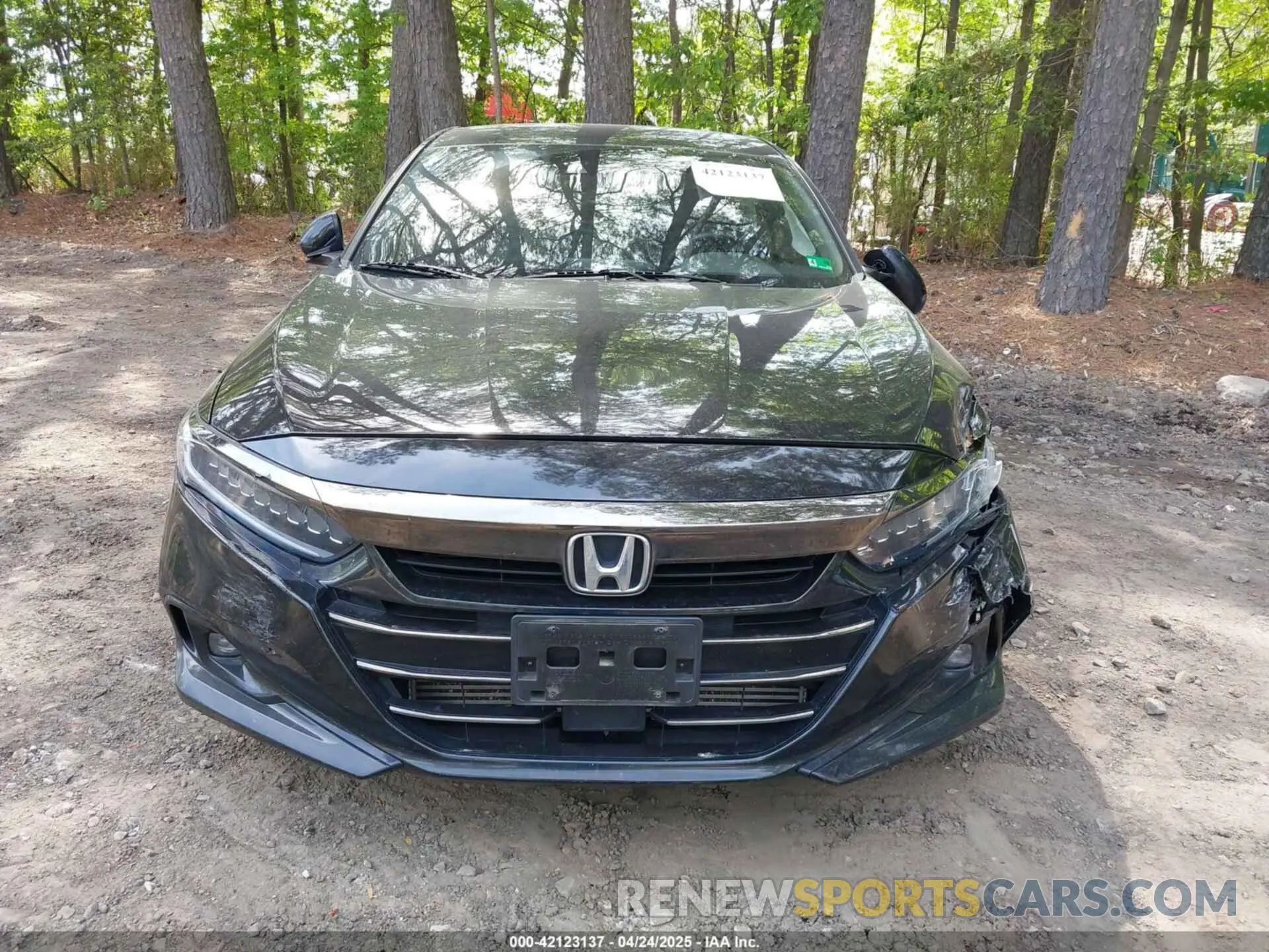 12 Photograph of a damaged car 1HGCV1F36MA016260 HONDA ACCORD 2021