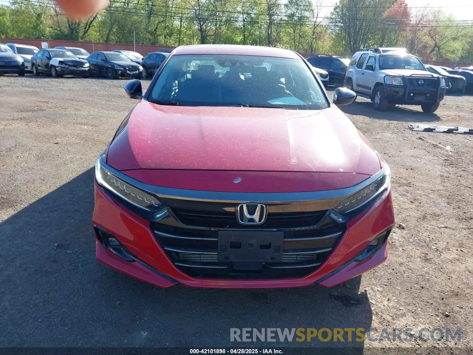 12 Photograph of a damaged car 1HGCV1F43MA058068 HONDA ACCORD 2021