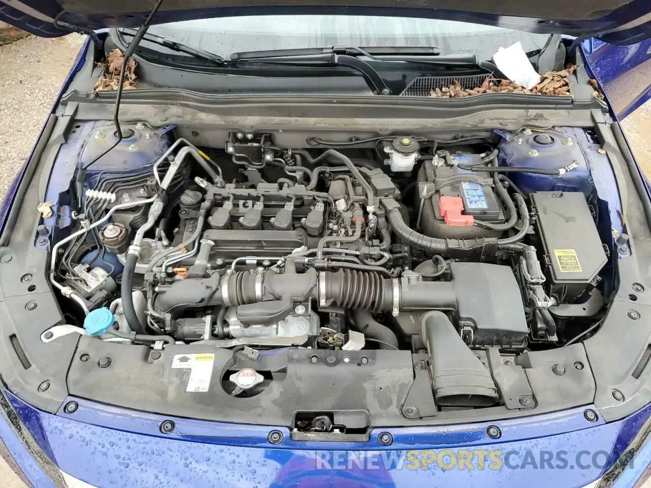 11 Photograph of a damaged car 1HGCV1F4XMA113101 HONDA ACCORD 2021