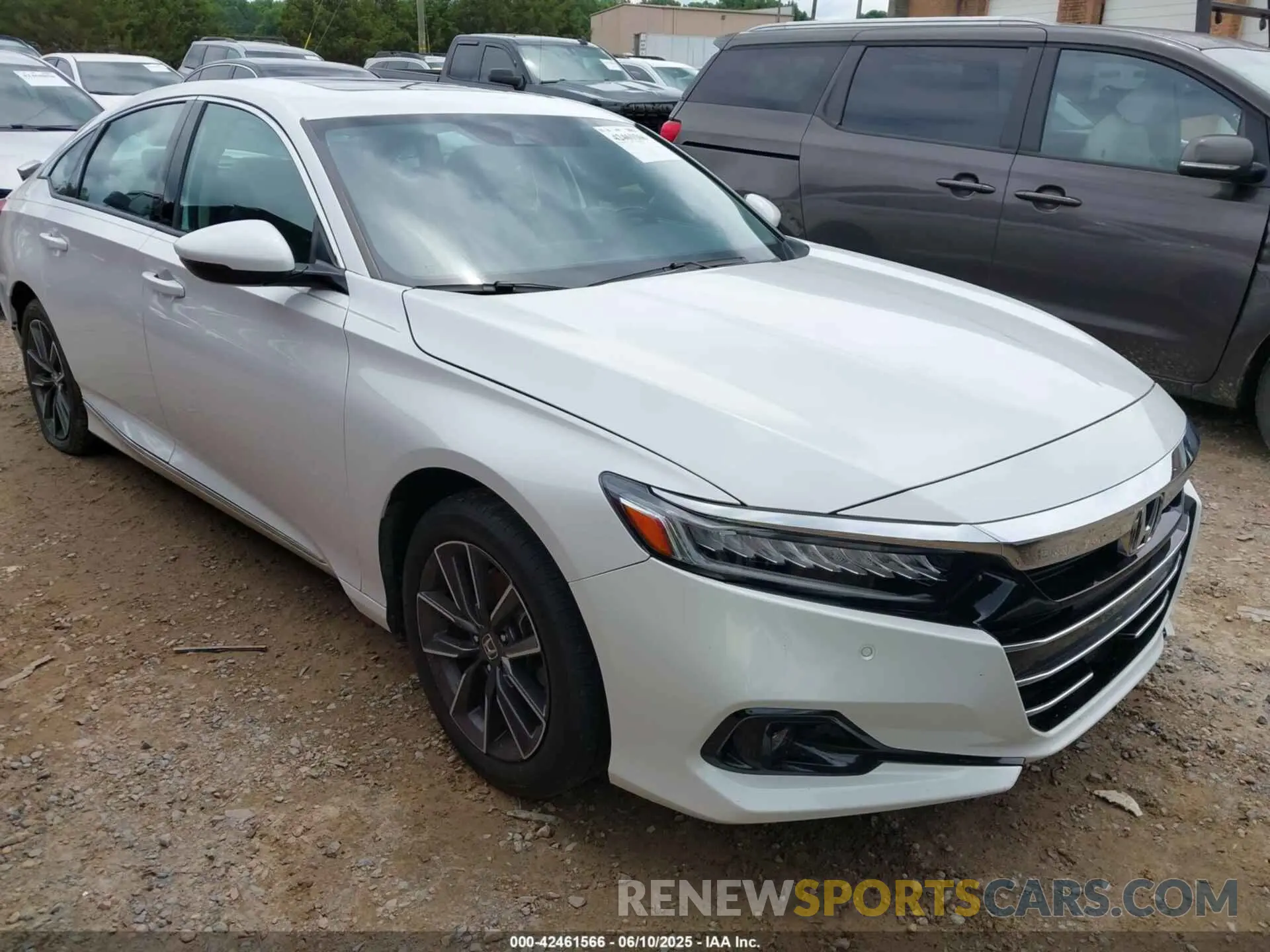 1 Photograph of a damaged car 1HGCV1F55MA041264 HONDA ACCORD 2021