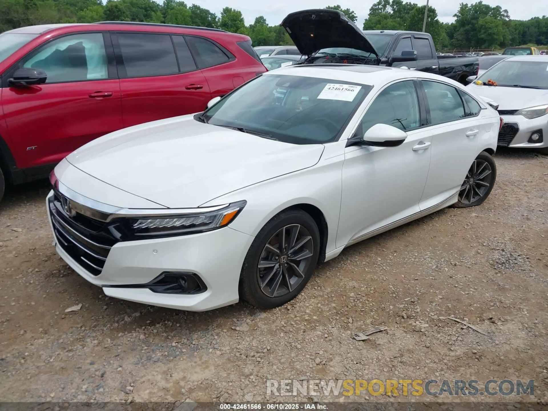 2 Photograph of a damaged car 1HGCV1F55MA041264 HONDA ACCORD 2021