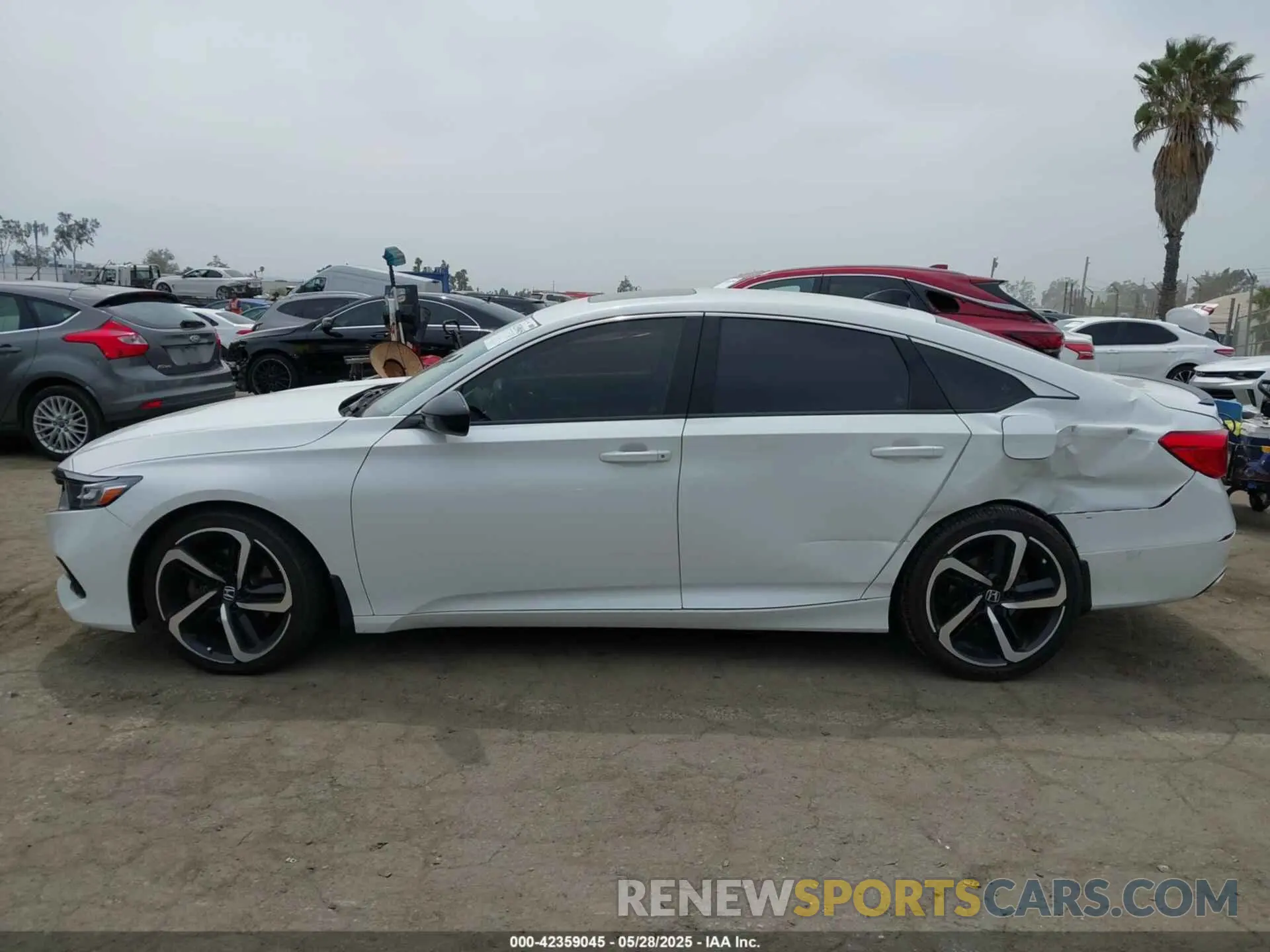14 Photograph of a damaged car 1HGCV2F32MA007691 HONDA ACCORD 2021