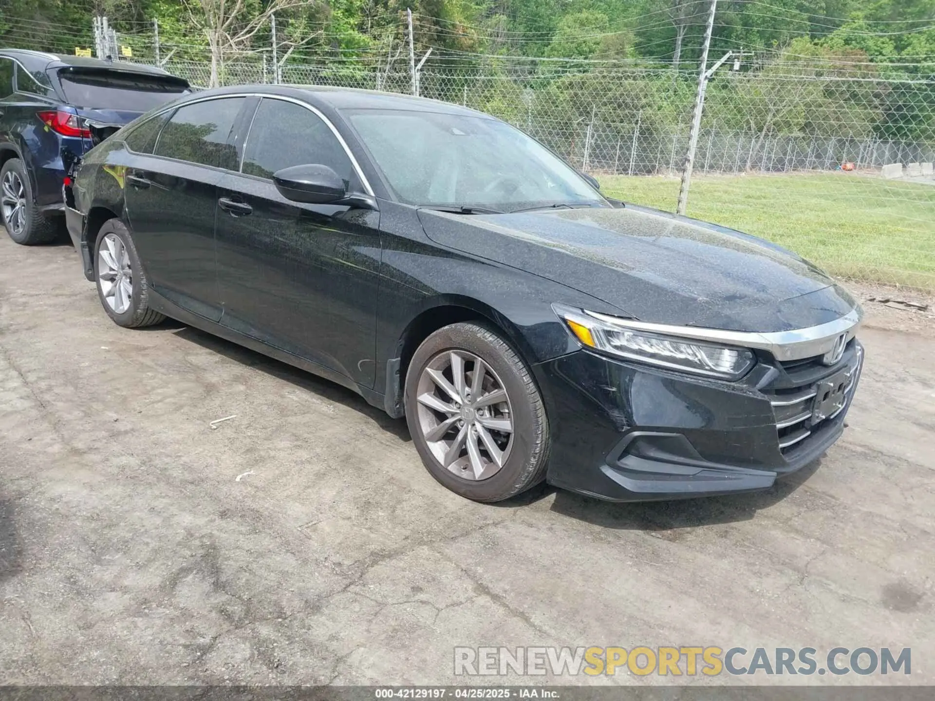1 Photograph of a damaged car 1HGCV1F11NA069237 HONDA ACCORD 2022