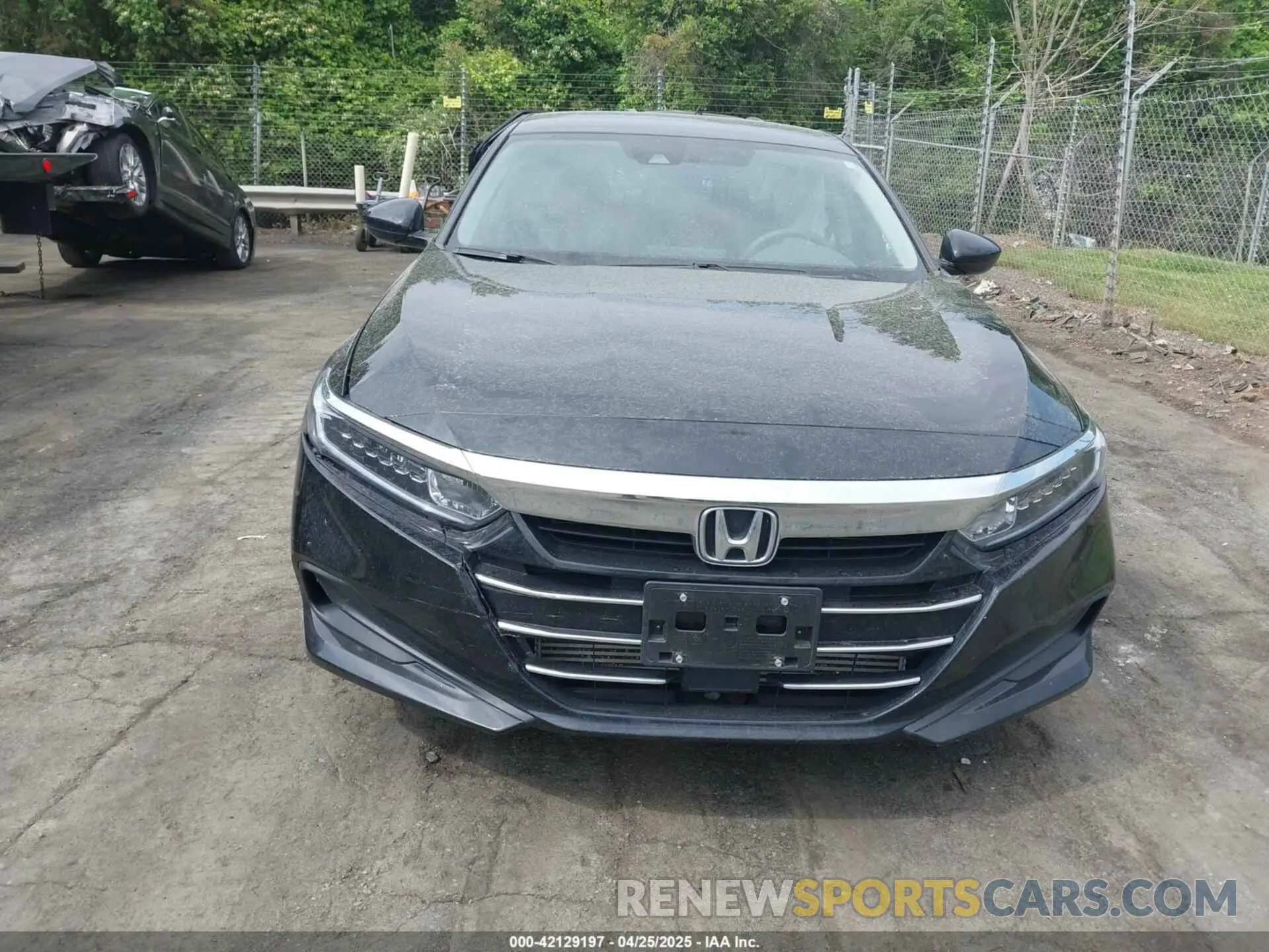 11 Photograph of a damaged car 1HGCV1F11NA069237 HONDA ACCORD 2022