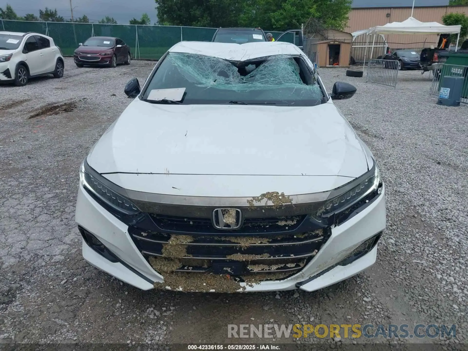 12 Photograph of a damaged car 1HGCV1F31NA119443 HONDA ACCORD 2022