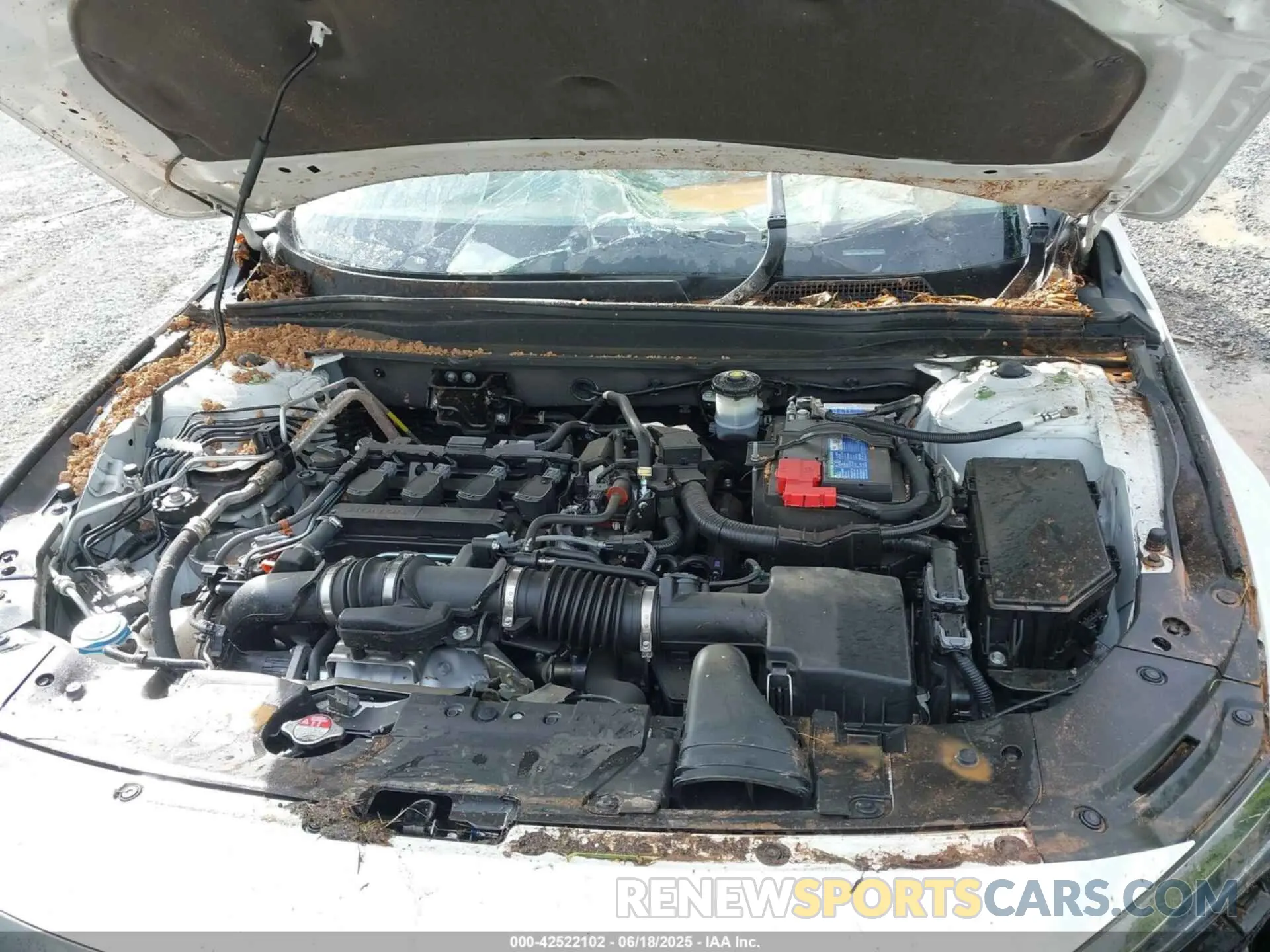 10 Photograph of a damaged car 1HGCV1F35NA119154 HONDA ACCORD 2022