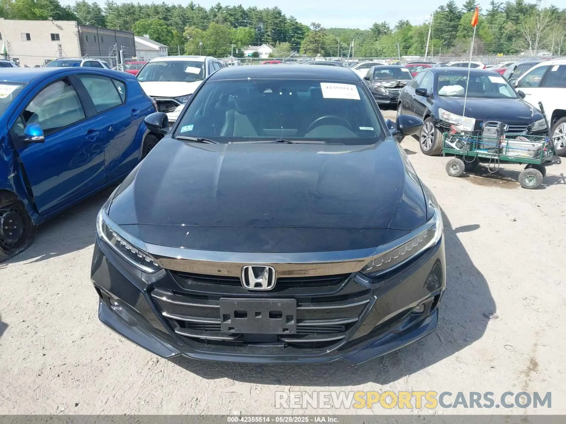 13 Photograph of a damaged car 1HGCV1F39NA023656 HONDA ACCORD 2022