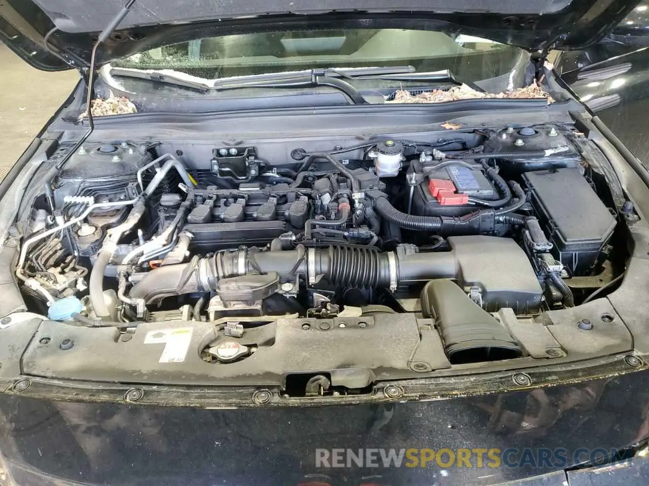 13 Photograph of a damaged car 1HGCV1F39NA087874 HONDA ACCORD 2022