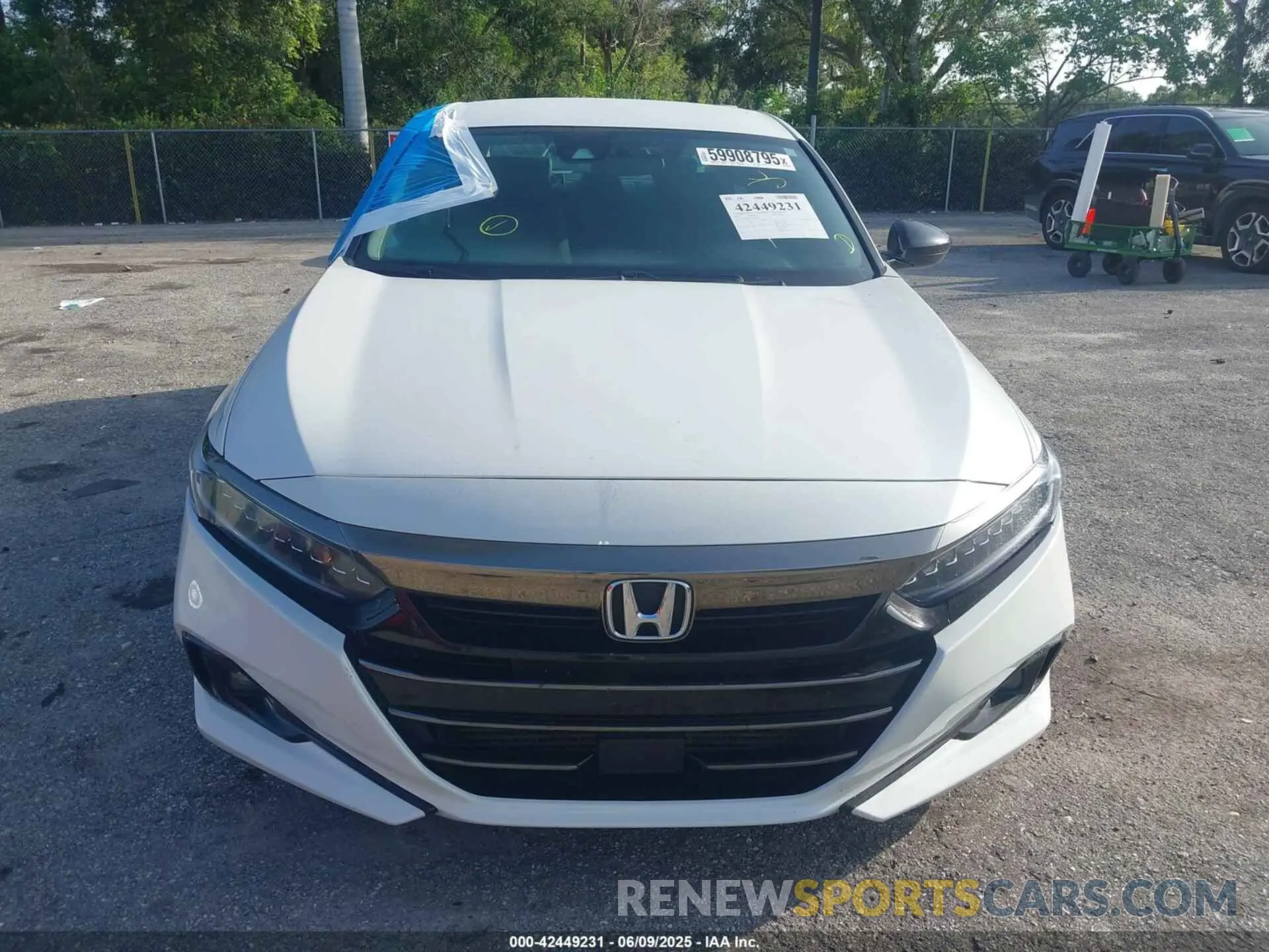 12 Photograph of a damaged car 1HGCV1F45NA069963 HONDA ACCORD 2022