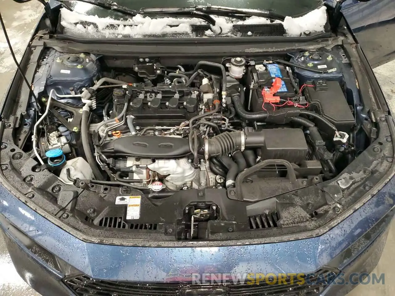 11 Photograph of a damaged car 1HGCY1F30PA800896 HONDA ACCORD 2023