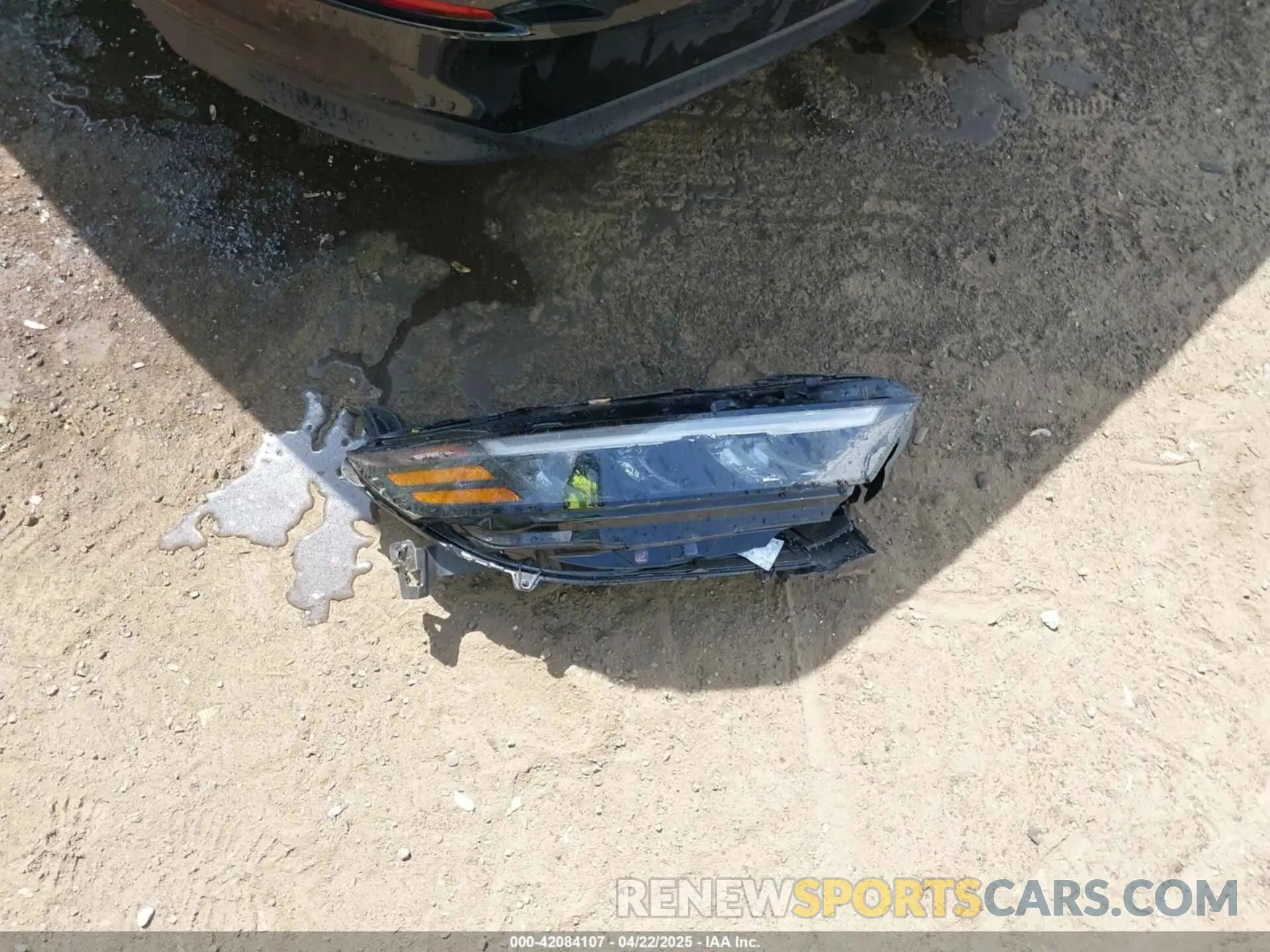 12 Photograph of a damaged car 1HGCY1F31PA019403 HONDA ACCORD 2023