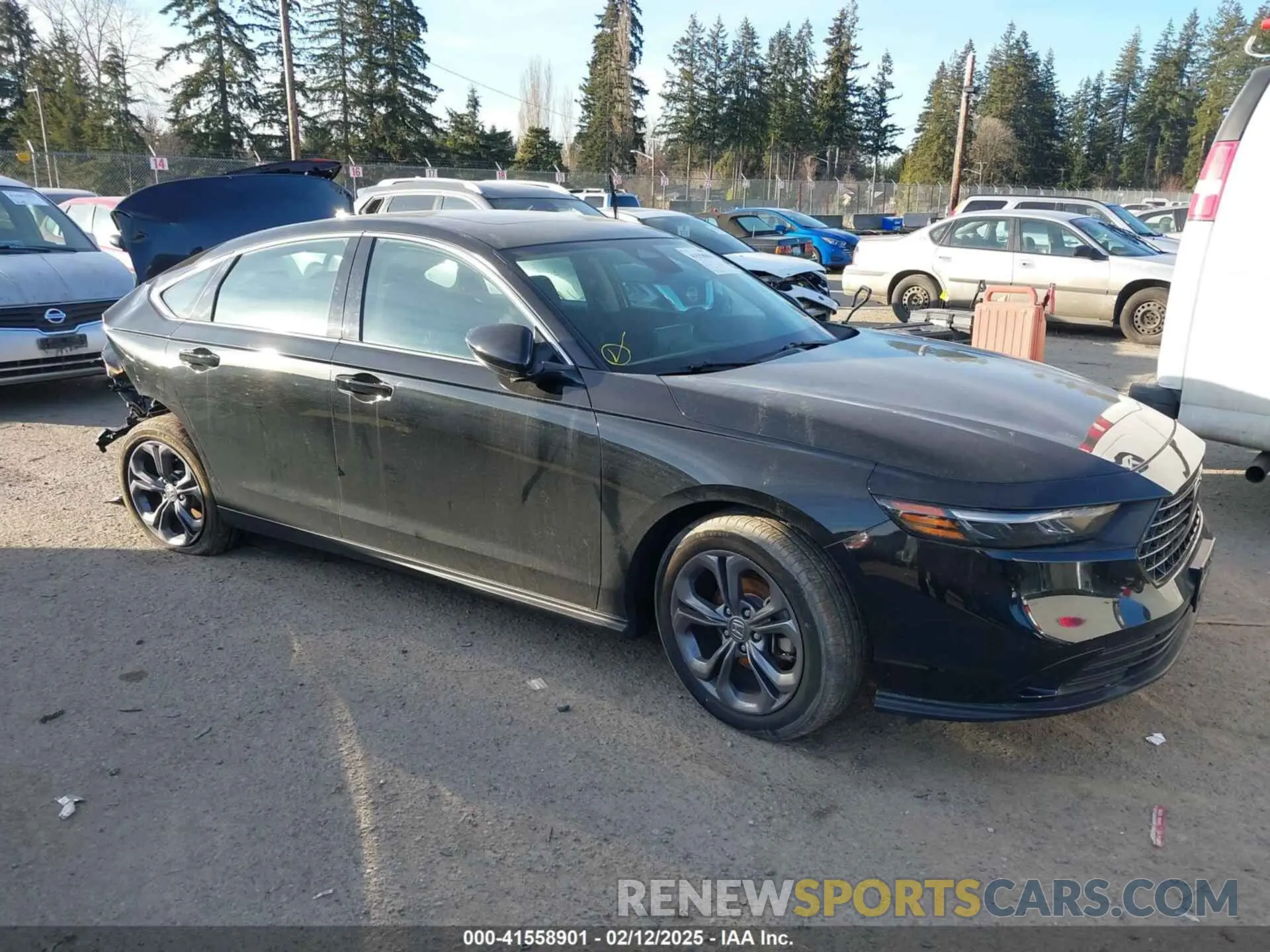 13 Photograph of a damaged car 1HGCY1F31PA047136 HONDA ACCORD 2023
