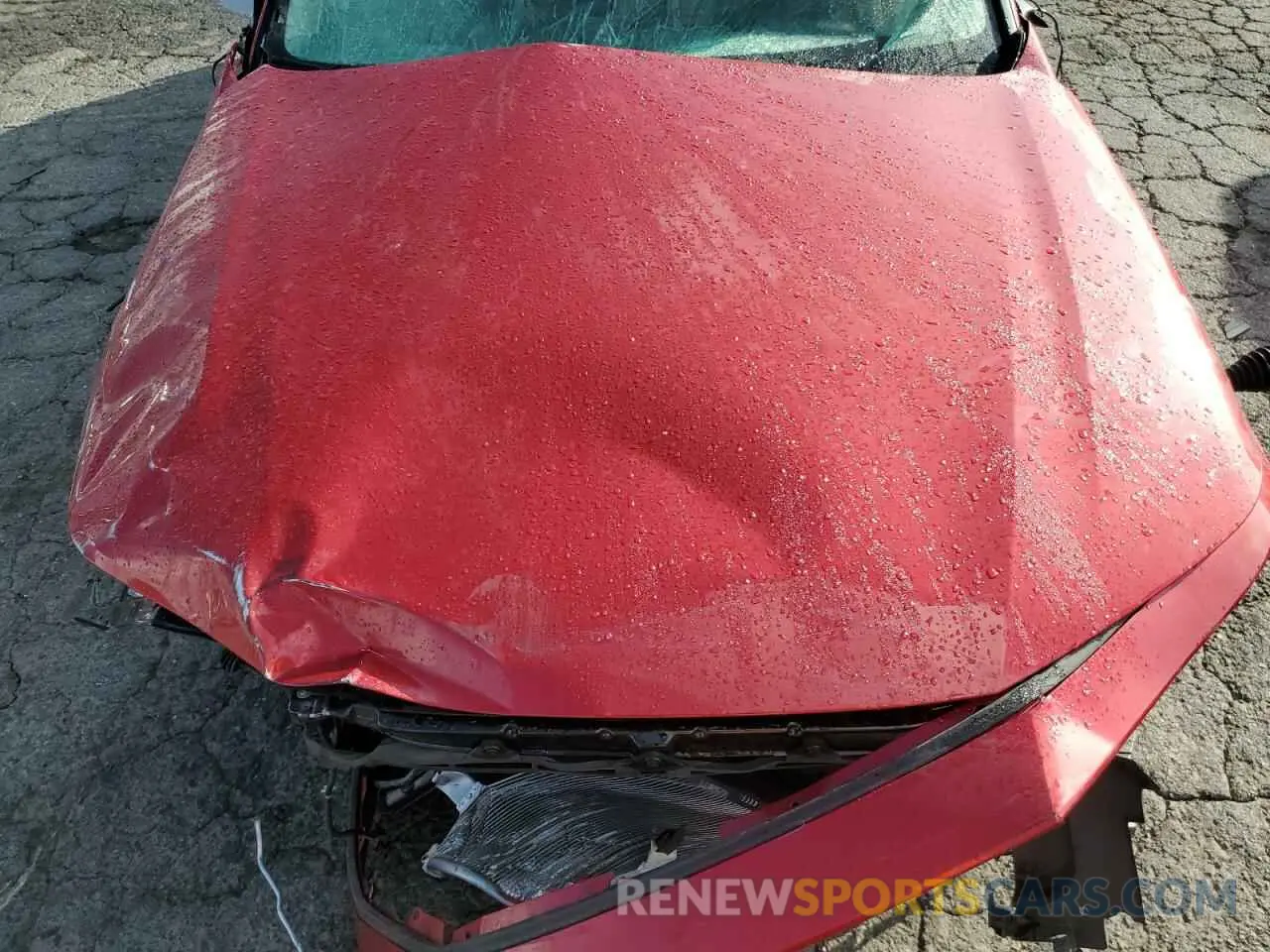 12 Photograph of a damaged car 1HGCY1F31PA058170 HONDA ACCORD 2023