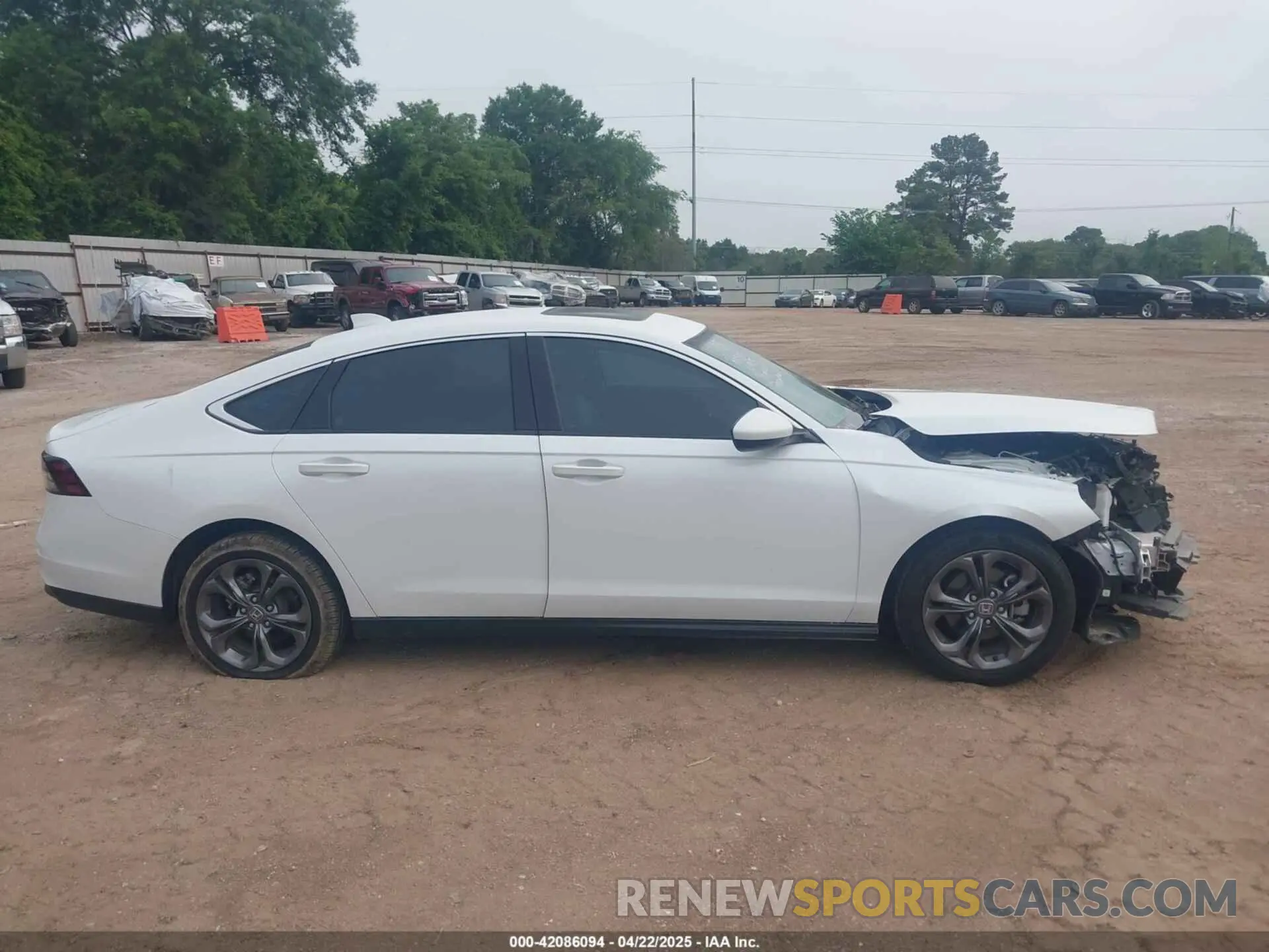 14 Photograph of a damaged car 1HGCY1F33PA013487 HONDA ACCORD 2023