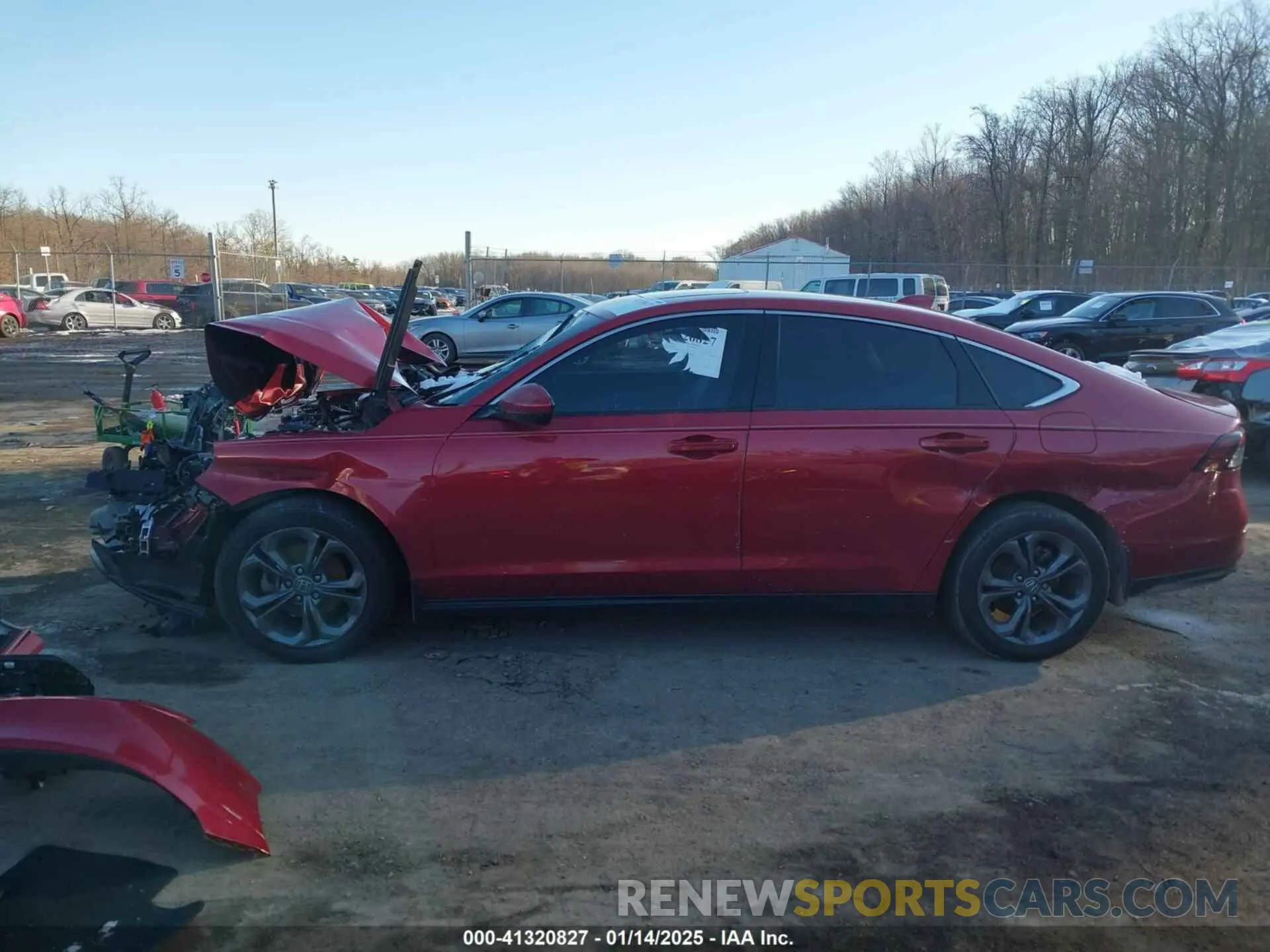 13 Photograph of a damaged car 1HGCY1F33PA038342 HONDA ACCORD 2023