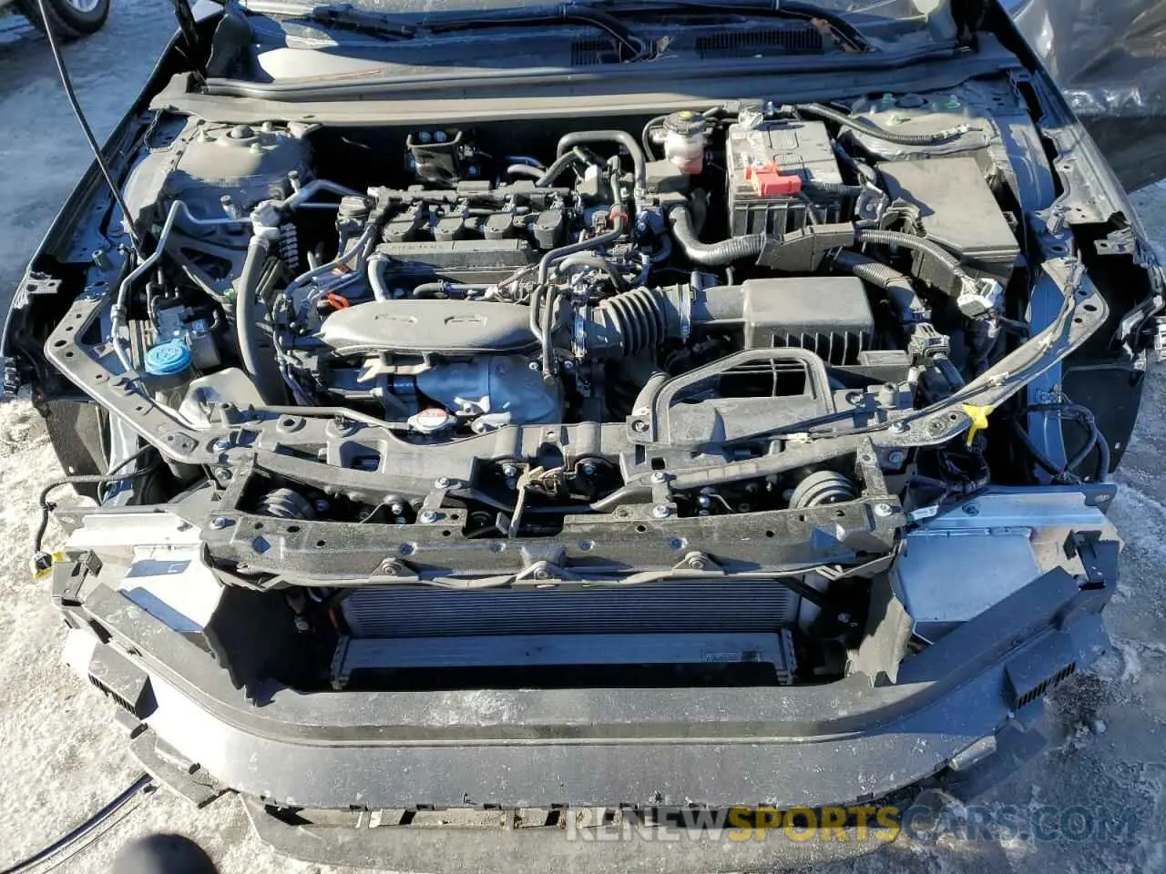 11 Photograph of a damaged car 1HGCY1F34PA005124 HONDA ACCORD 2023