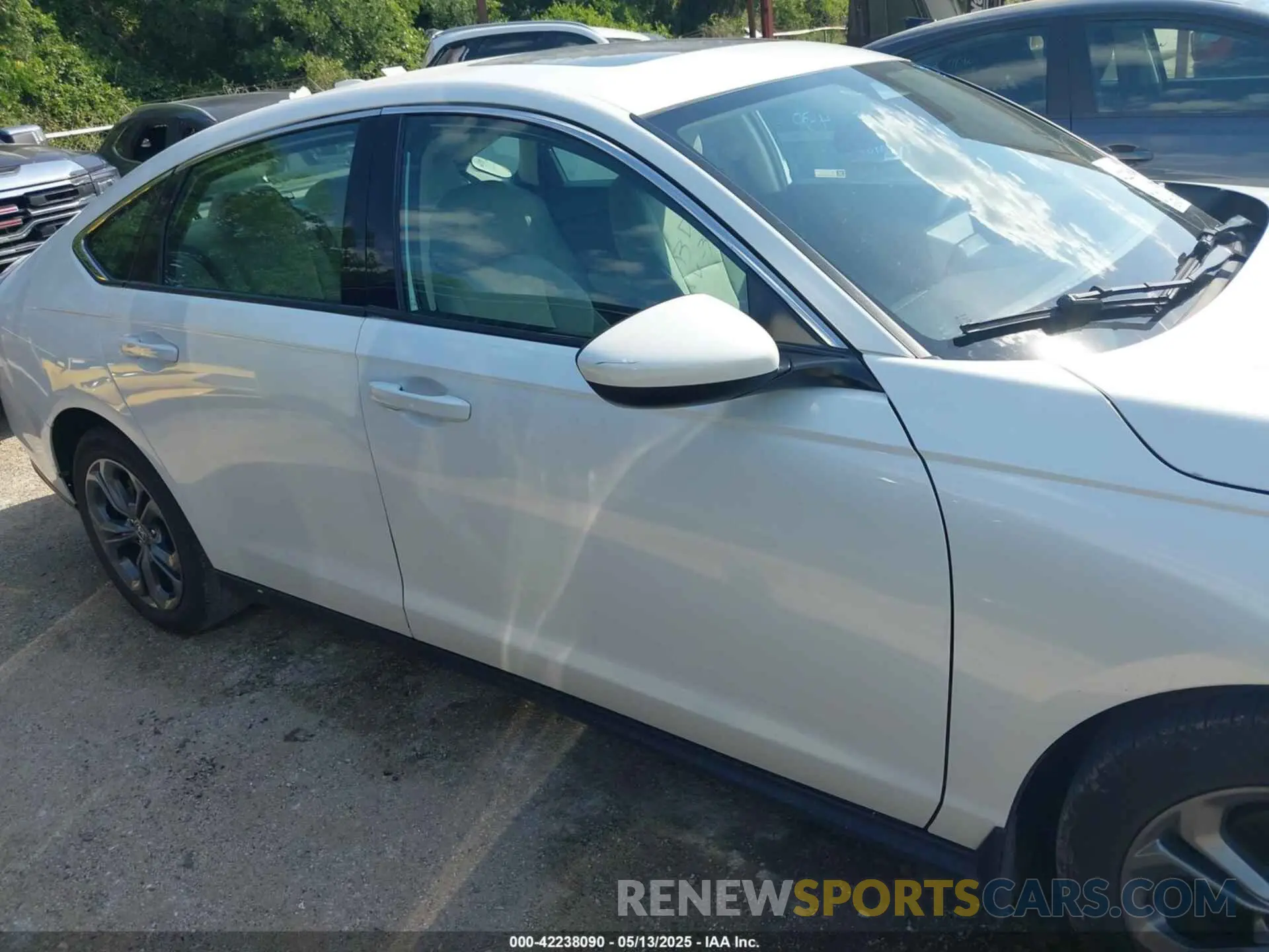13 Photograph of a damaged car 1HGCY1F35PA031554 HONDA ACCORD 2023