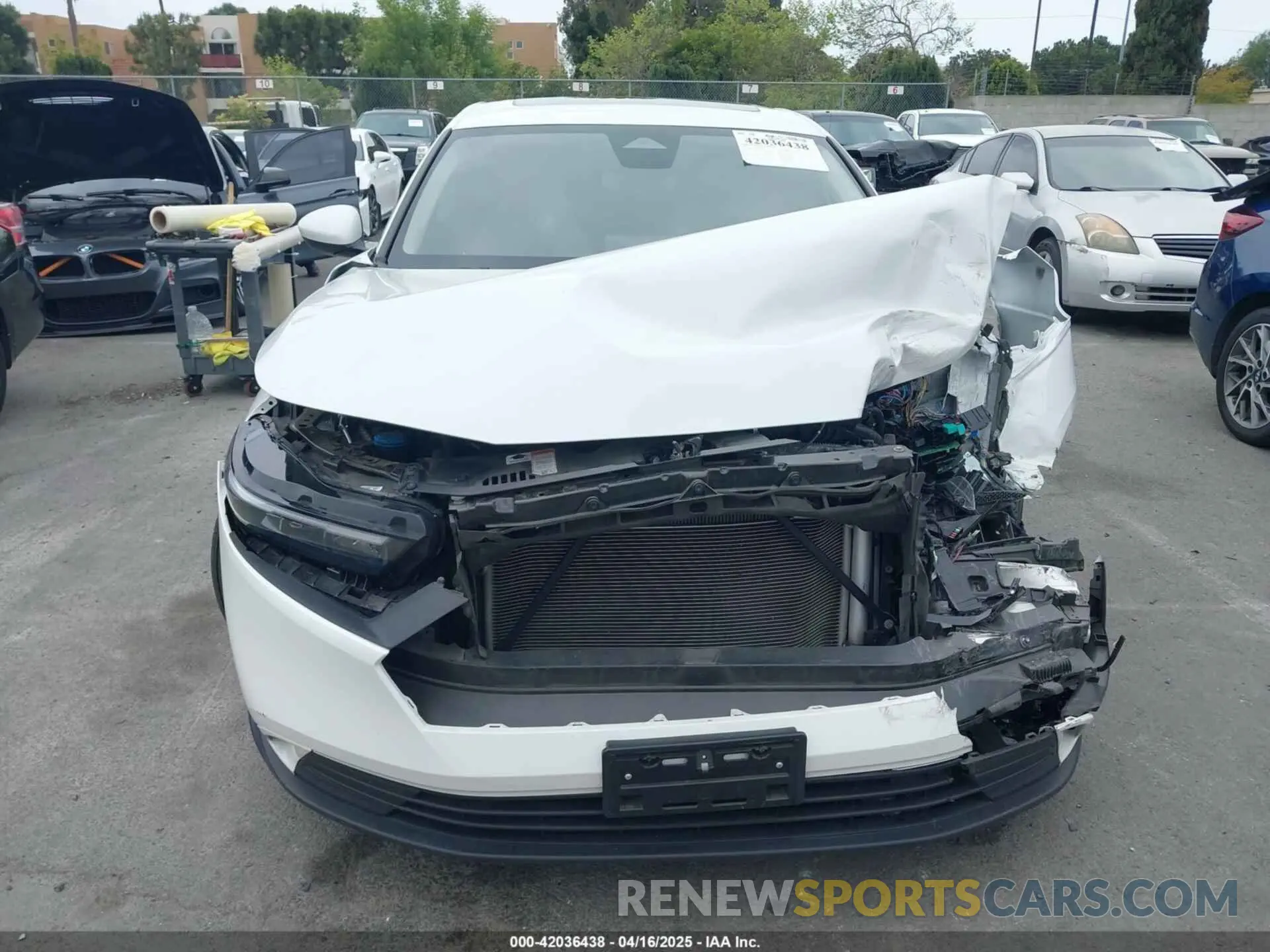 12 Photograph of a damaged car 1HGCY1F37PA042166 HONDA ACCORD 2023
