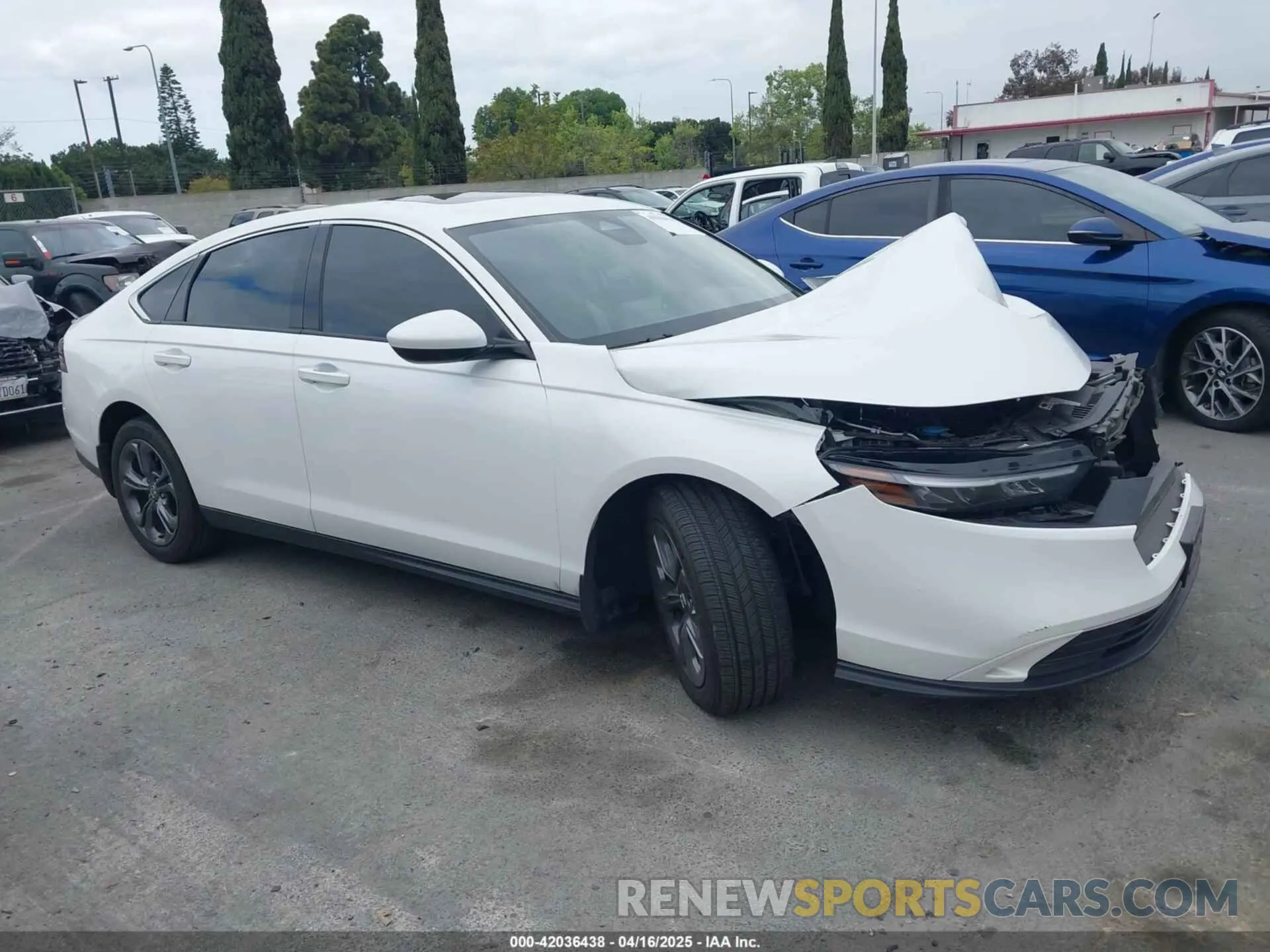 13 Photograph of a damaged car 1HGCY1F37PA042166 HONDA ACCORD 2023