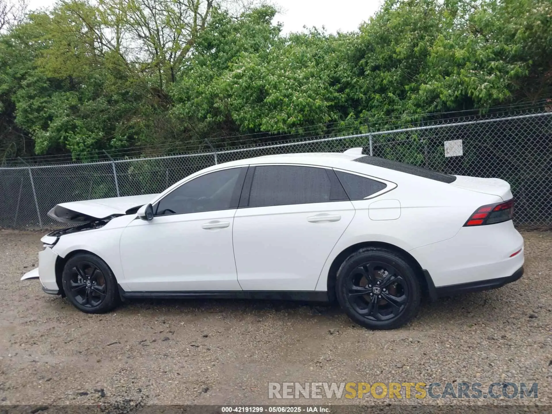 15 Photograph of a damaged car 1HGCY1F38PA035551 HONDA ACCORD 2023