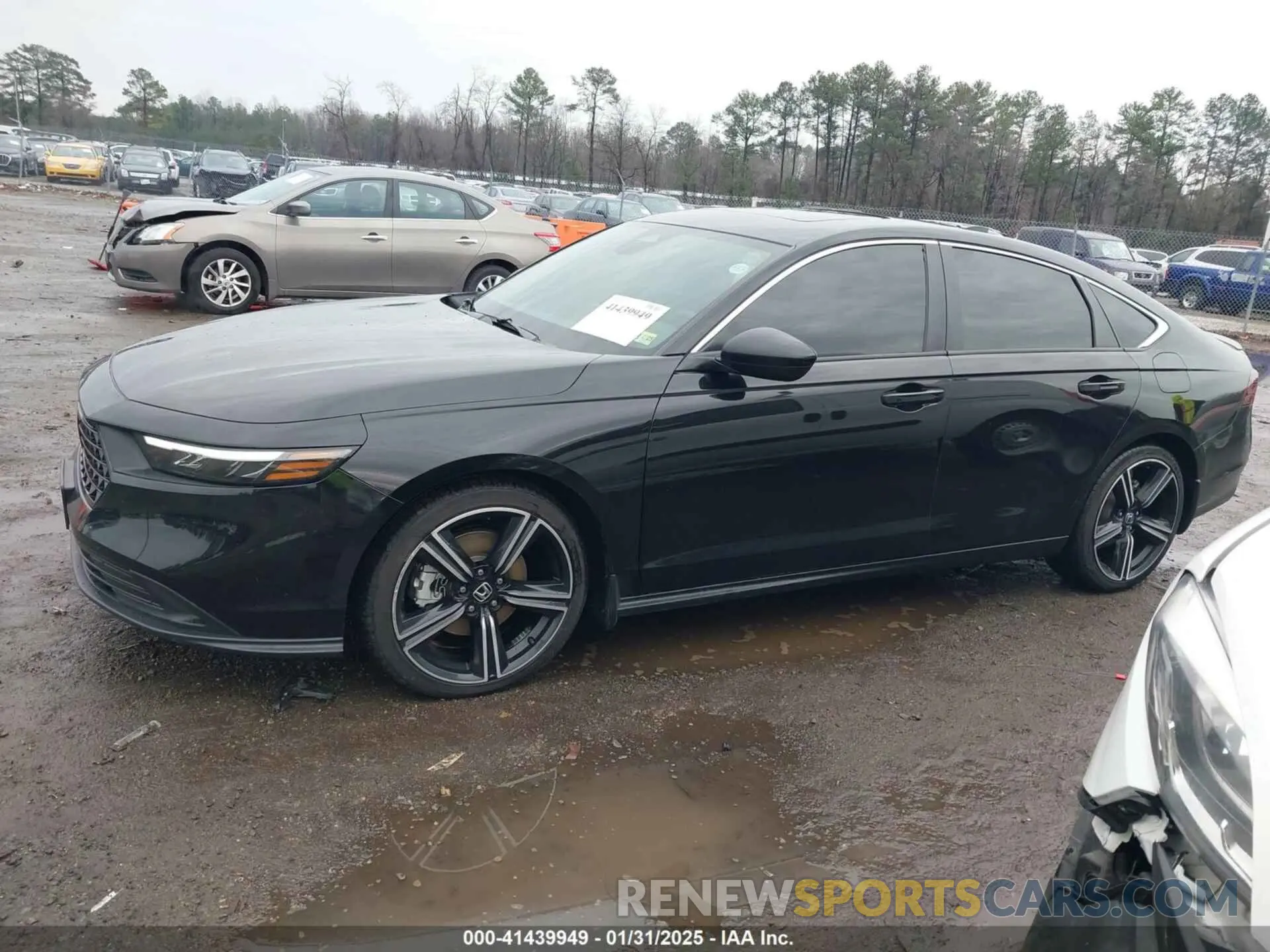 14 Photograph of a damaged car 1HGCY2F54PA049292 HONDA ACCORD 2023