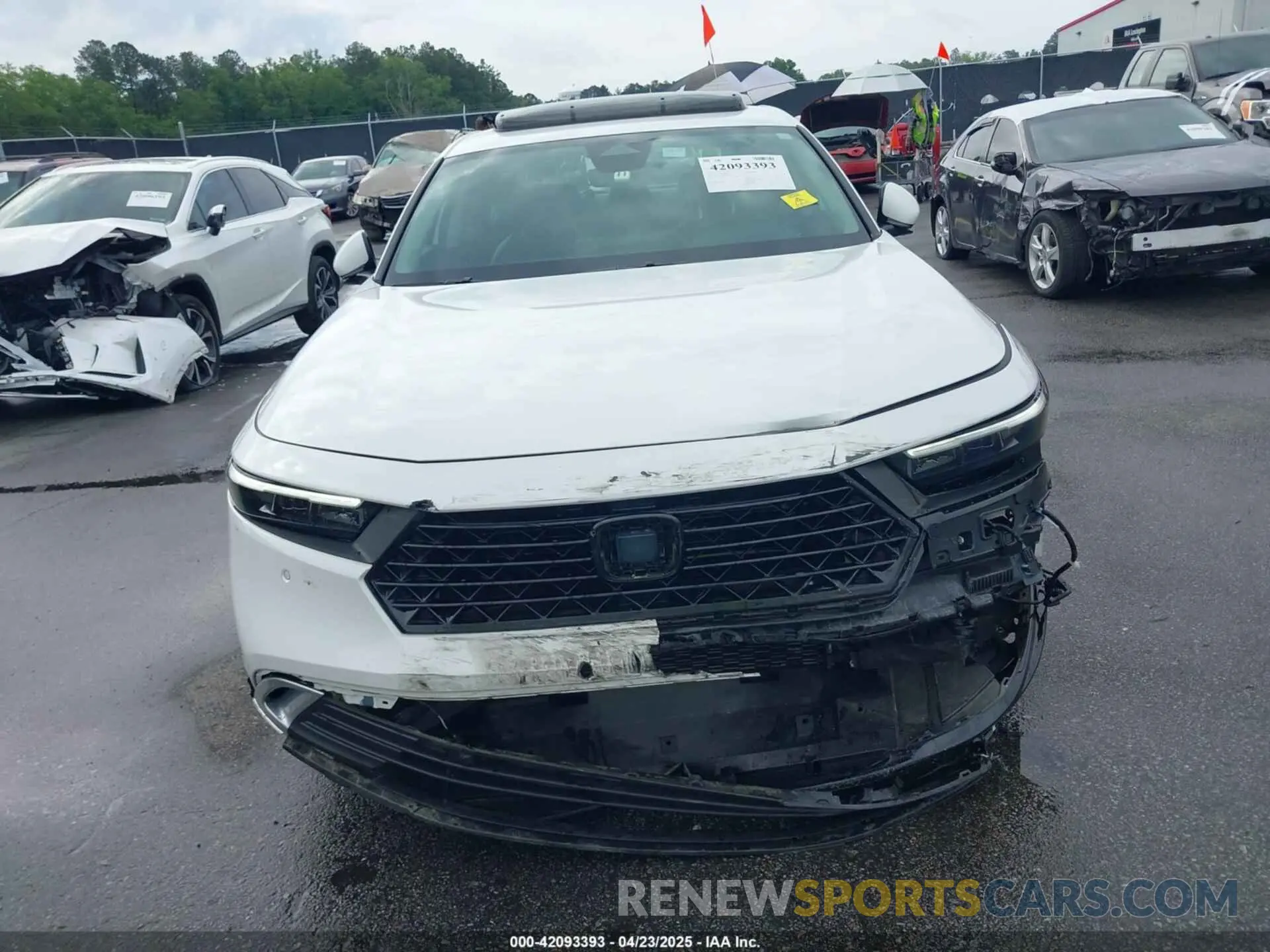 12 Photograph of a damaged car 1HGCY2F80PA009611 HONDA ACCORD 2023
