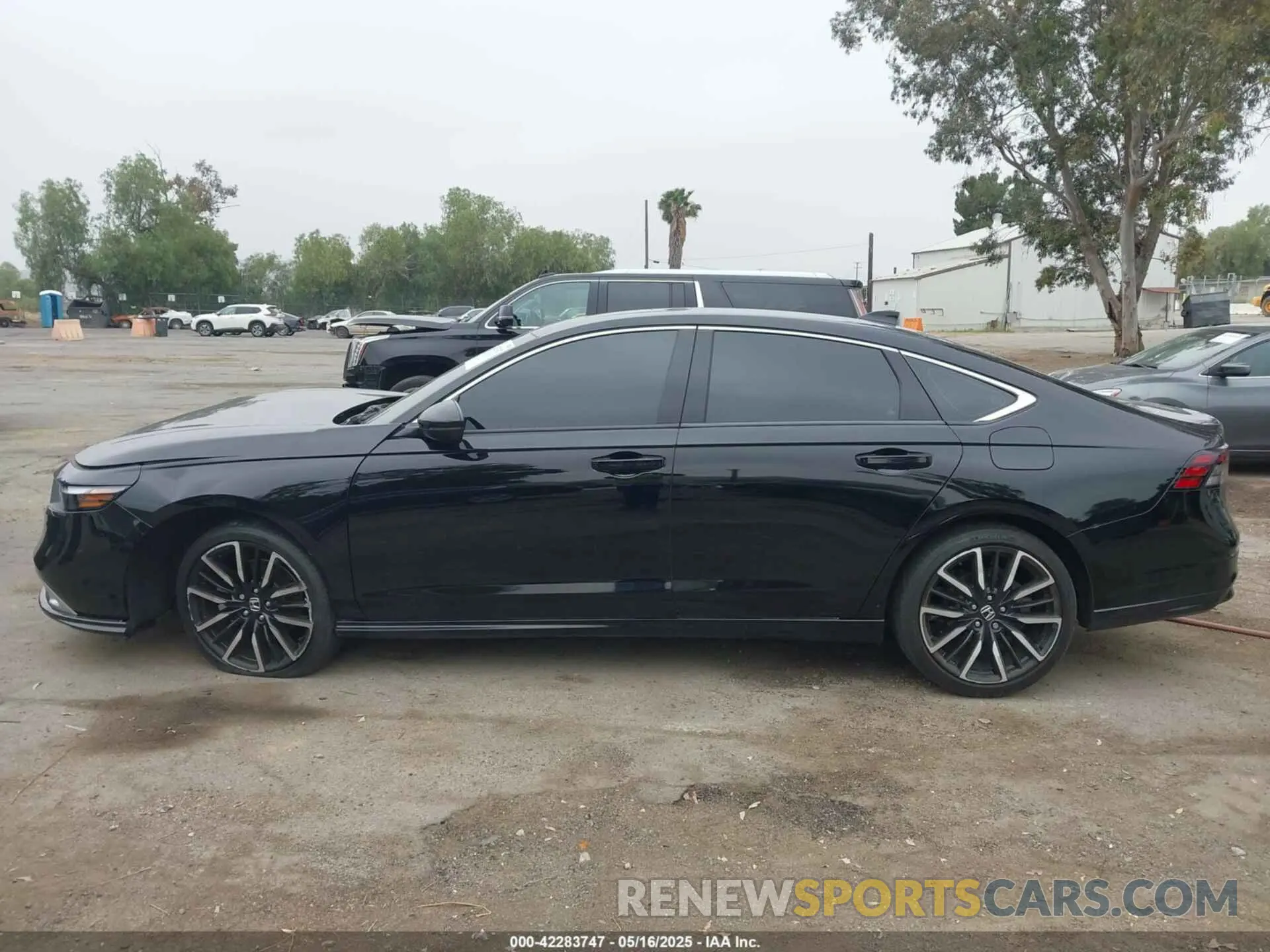 14 Photograph of a damaged car 1HGCY2F81PA046201 HONDA ACCORD 2023