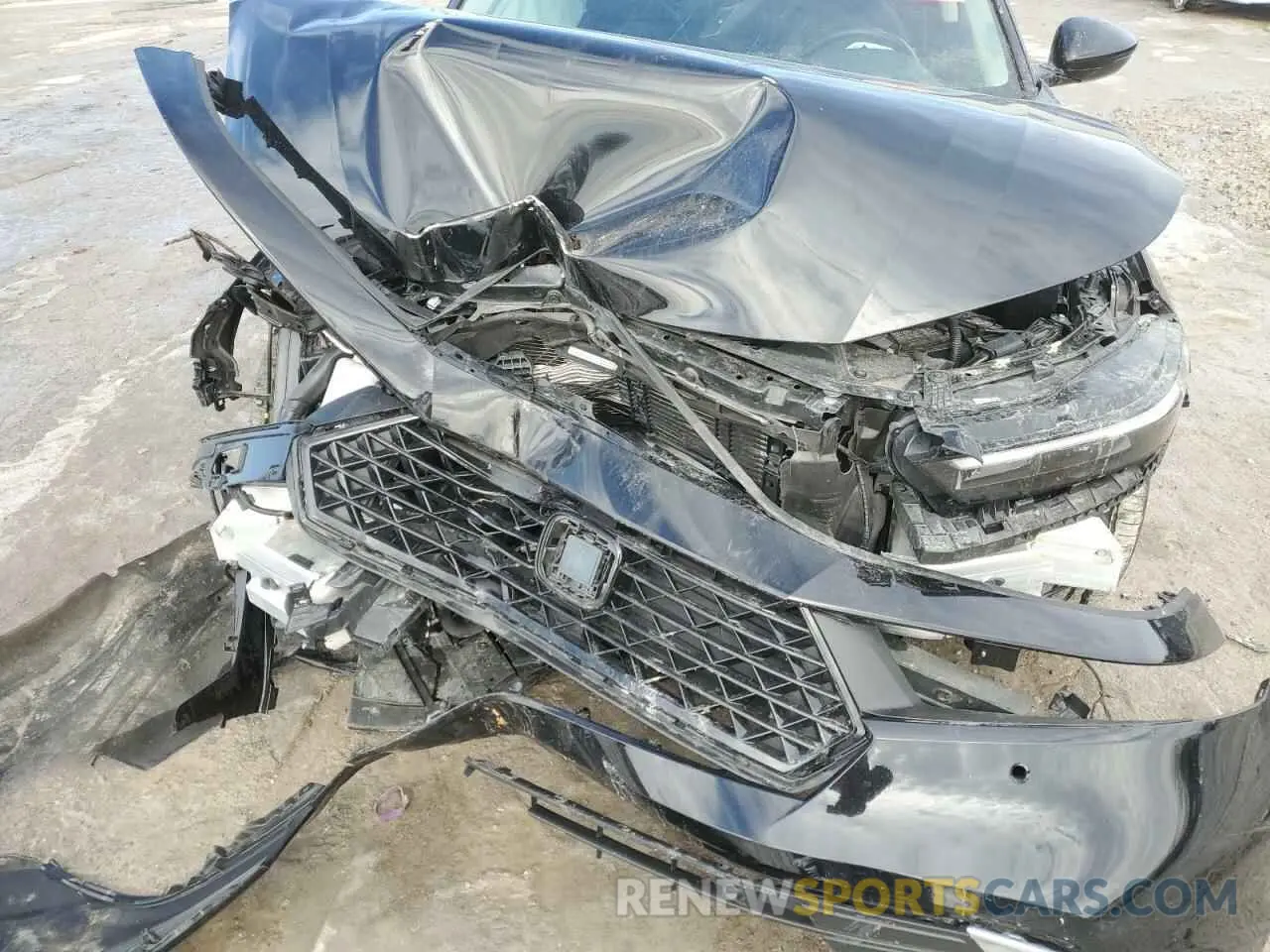 11 Photograph of a damaged car 1HGCY2F84PA066040 HONDA ACCORD 2023