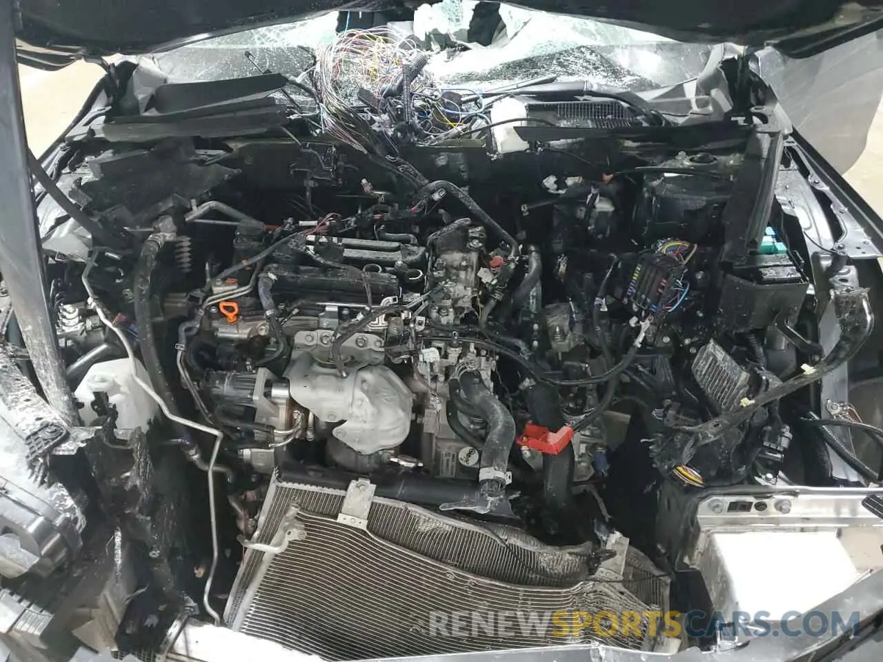 12 Photograph of a damaged car 1HGCY1F20RA093146 HONDA ACCORD 2024
