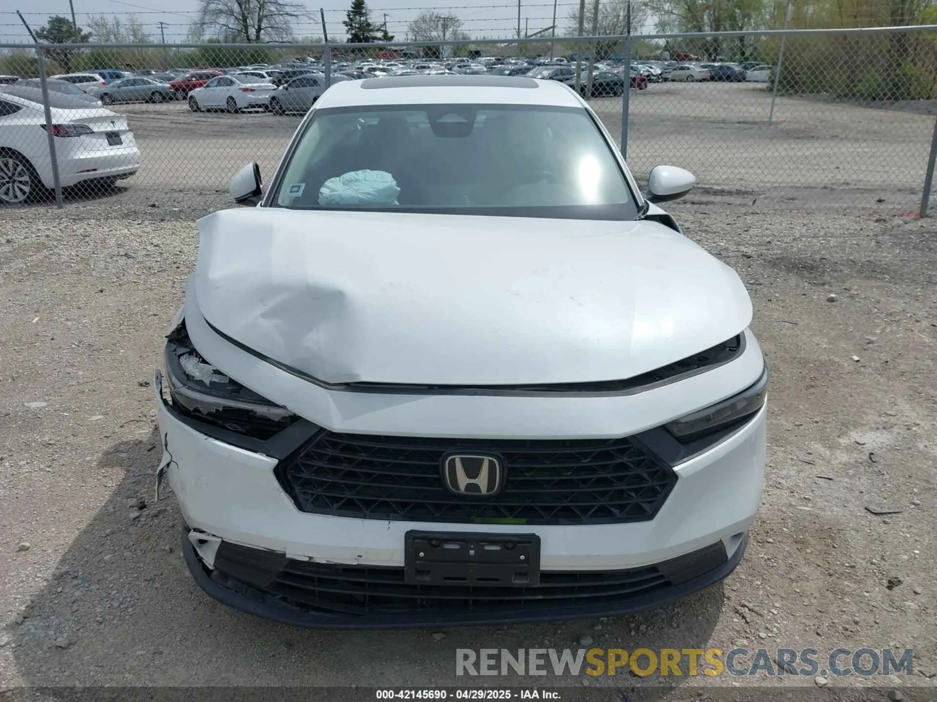 12 Photograph of a damaged car 1HGCY1F33RA058528 HONDA ACCORD 2024