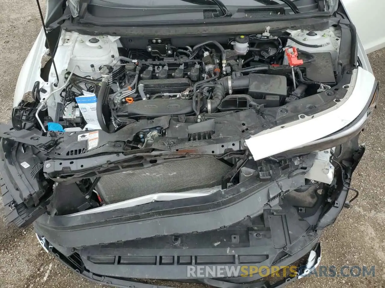 11 Photograph of a damaged car 1HGCY1F34RA800547 HONDA ACCORD 2024