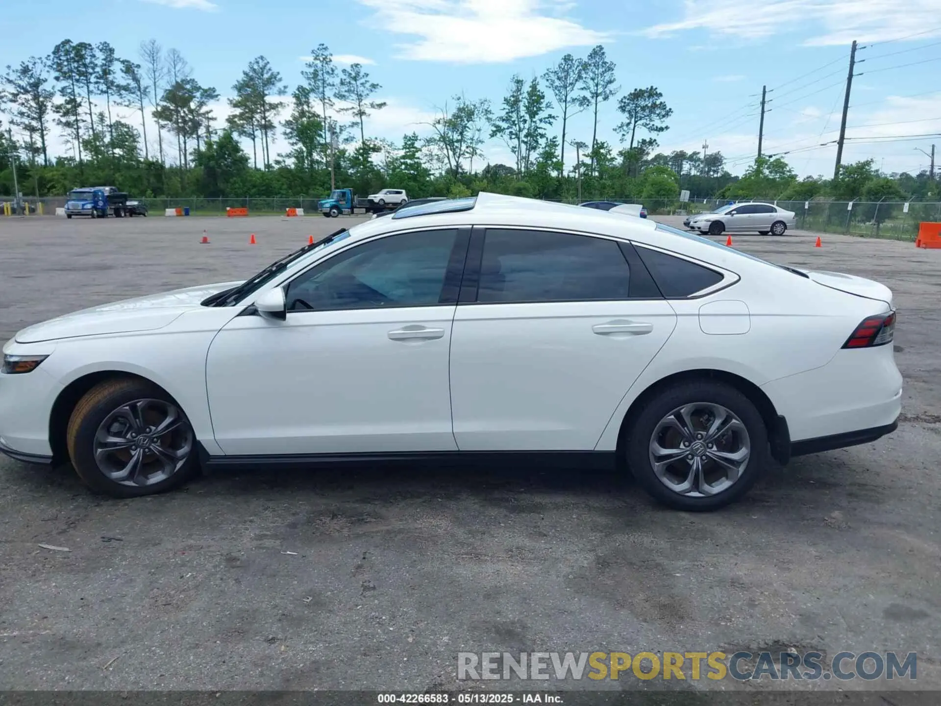 13 Photograph of a damaged car 1HGCY1F35RA025501 HONDA ACCORD 2024