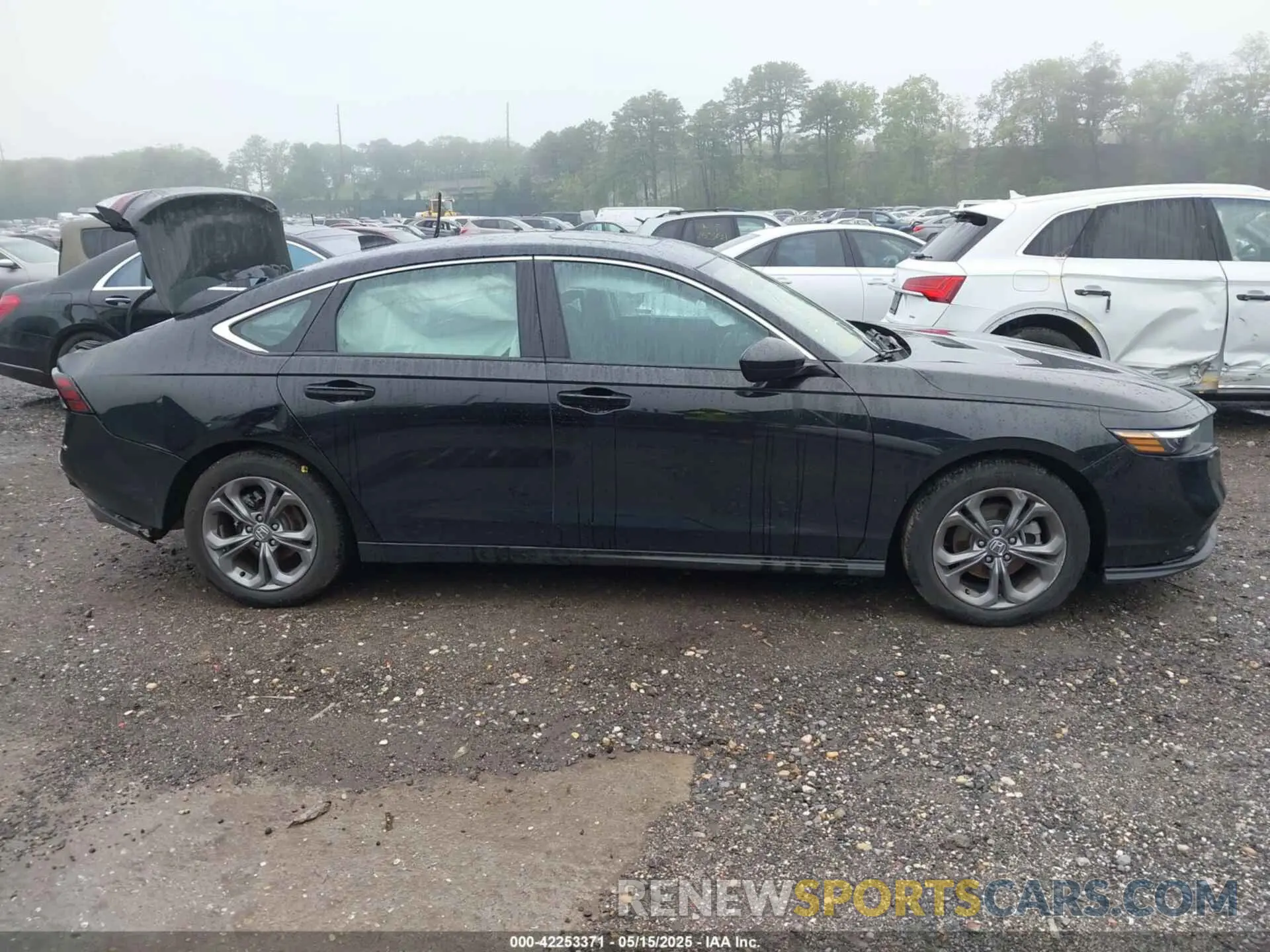 13 Photograph of a damaged car 1HGCY1F35RA081776 HONDA ACCORD 2024