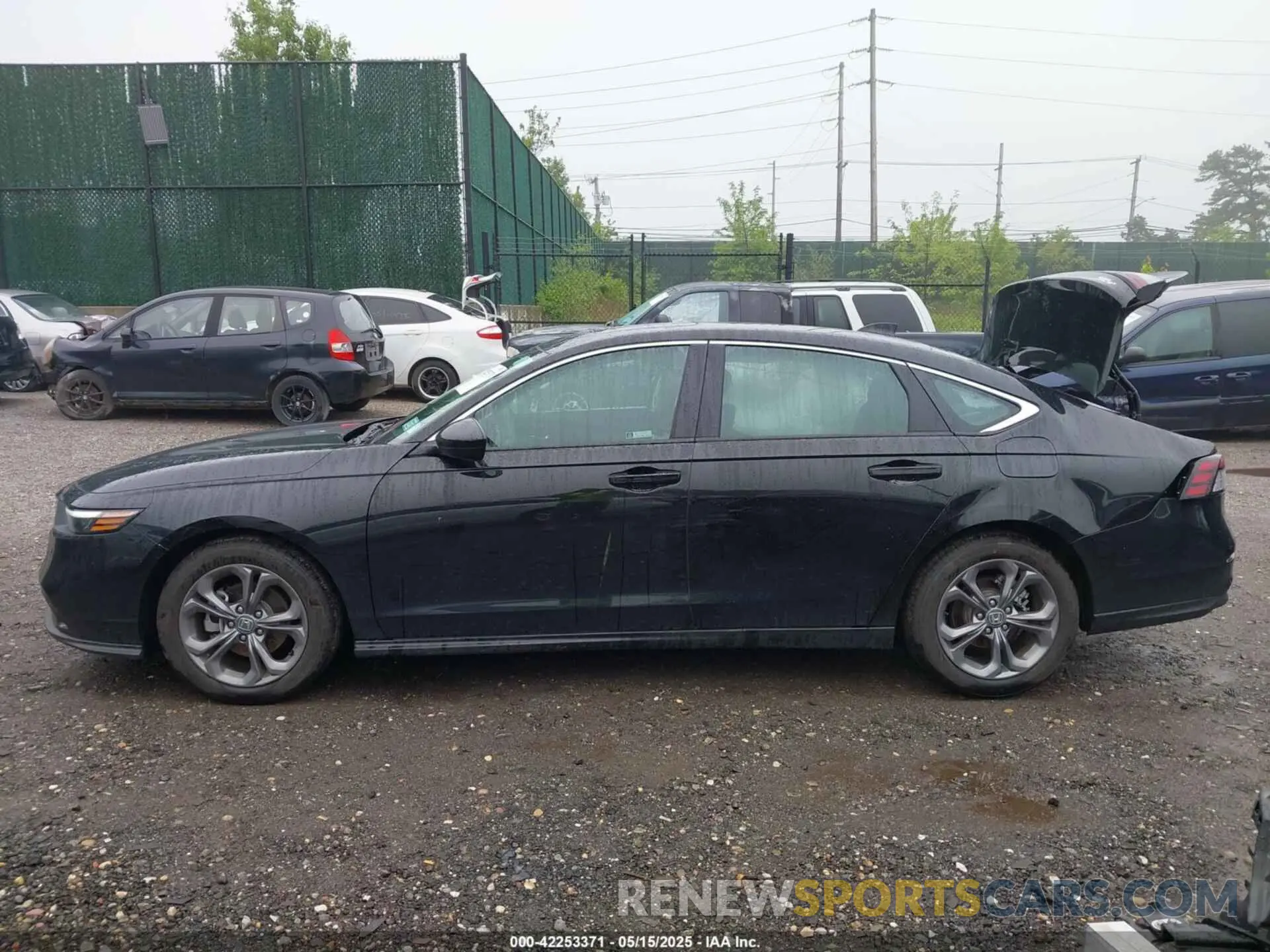 14 Photograph of a damaged car 1HGCY1F35RA081776 HONDA ACCORD 2024