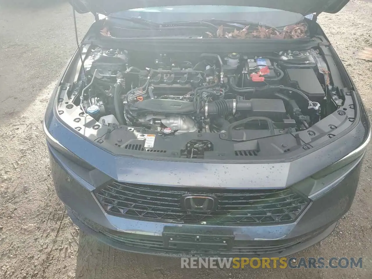 11 Photograph of a damaged car 1HGCY1F38RA023015 HONDA ACCORD 2024