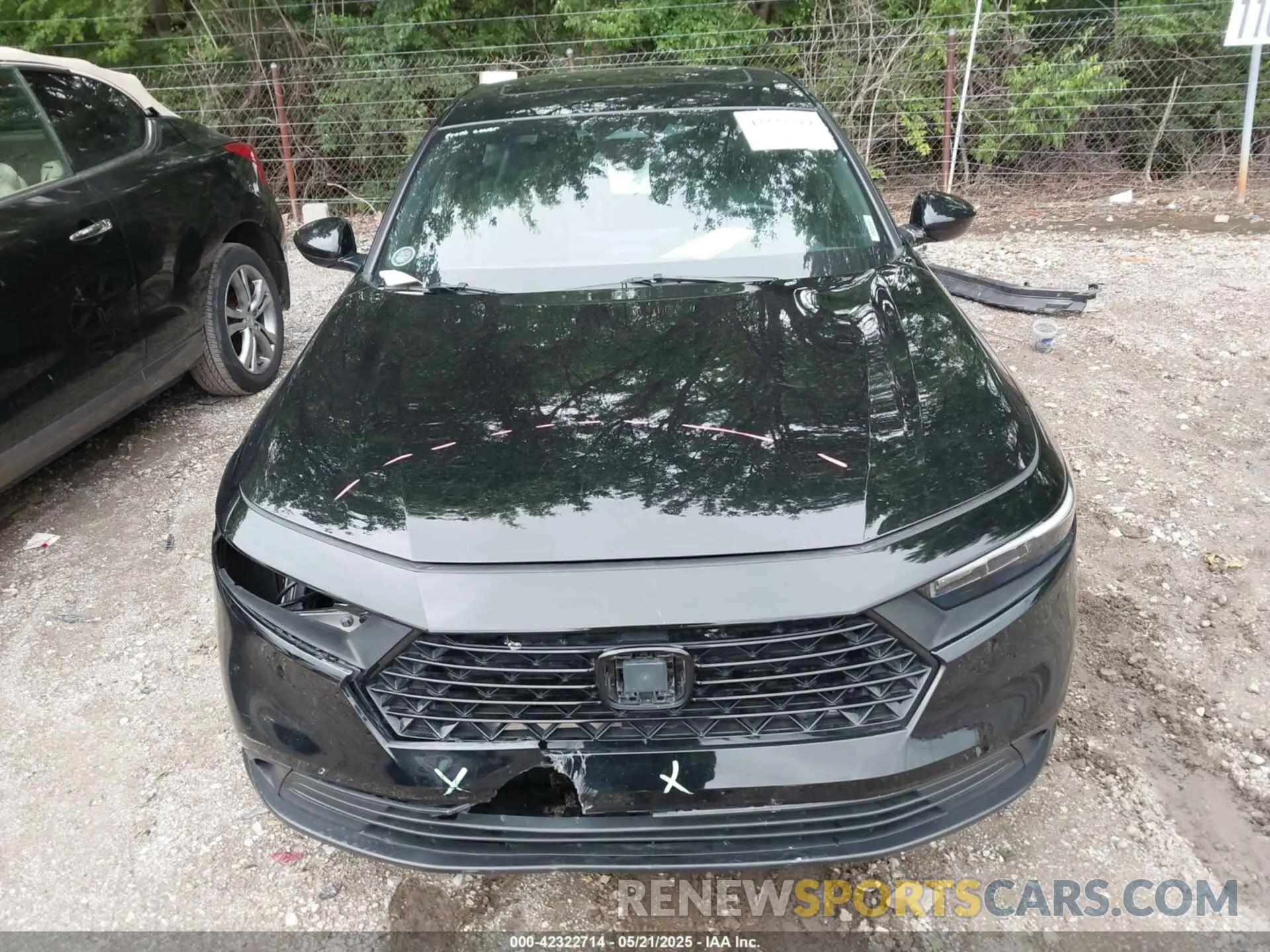 6 Photograph of a damaged car 1HGCY2F51RA004104 HONDA ACCORD 2024